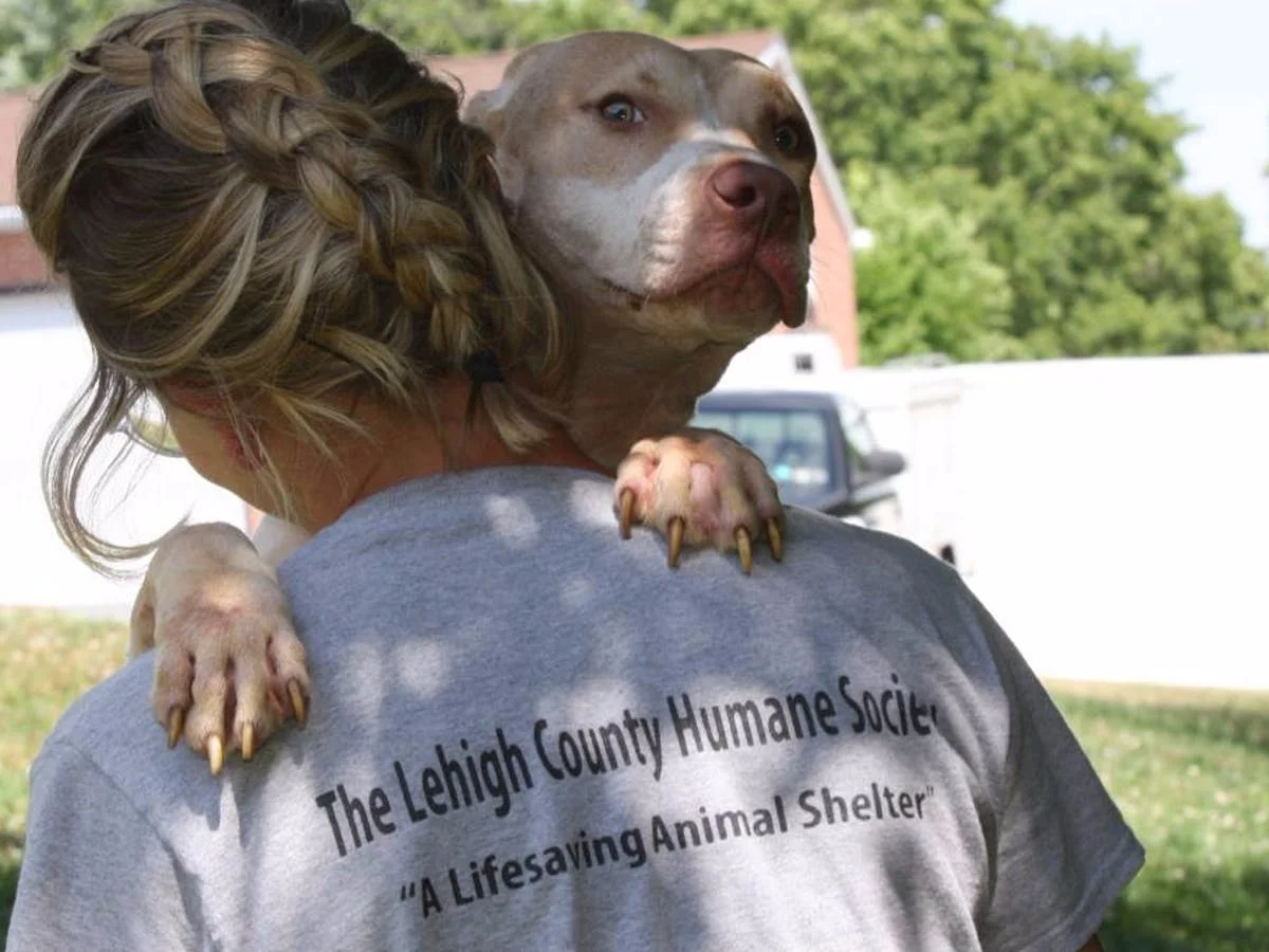 Prevent-Animal-Cruelty-with-the-Lehigh-County-Humane-Society.jpg