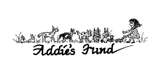 Addies Fund.jpg