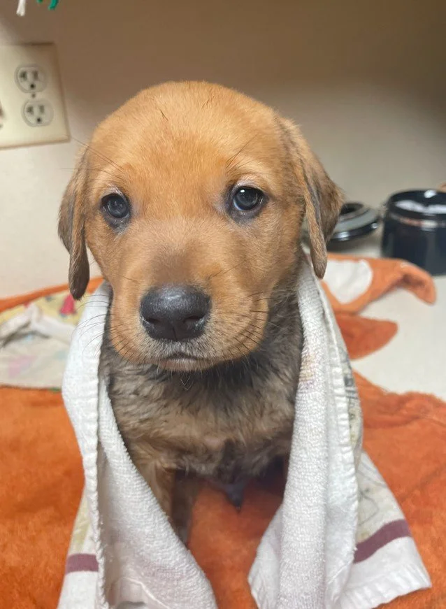 Screenshot 2023-08-25 114957.jpg