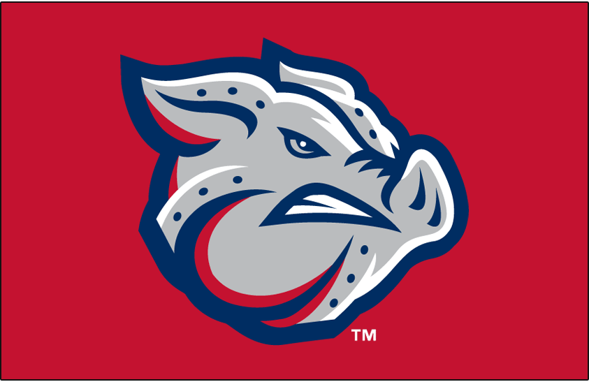 Adoption Night at the Lehigh Valley IronPigs!