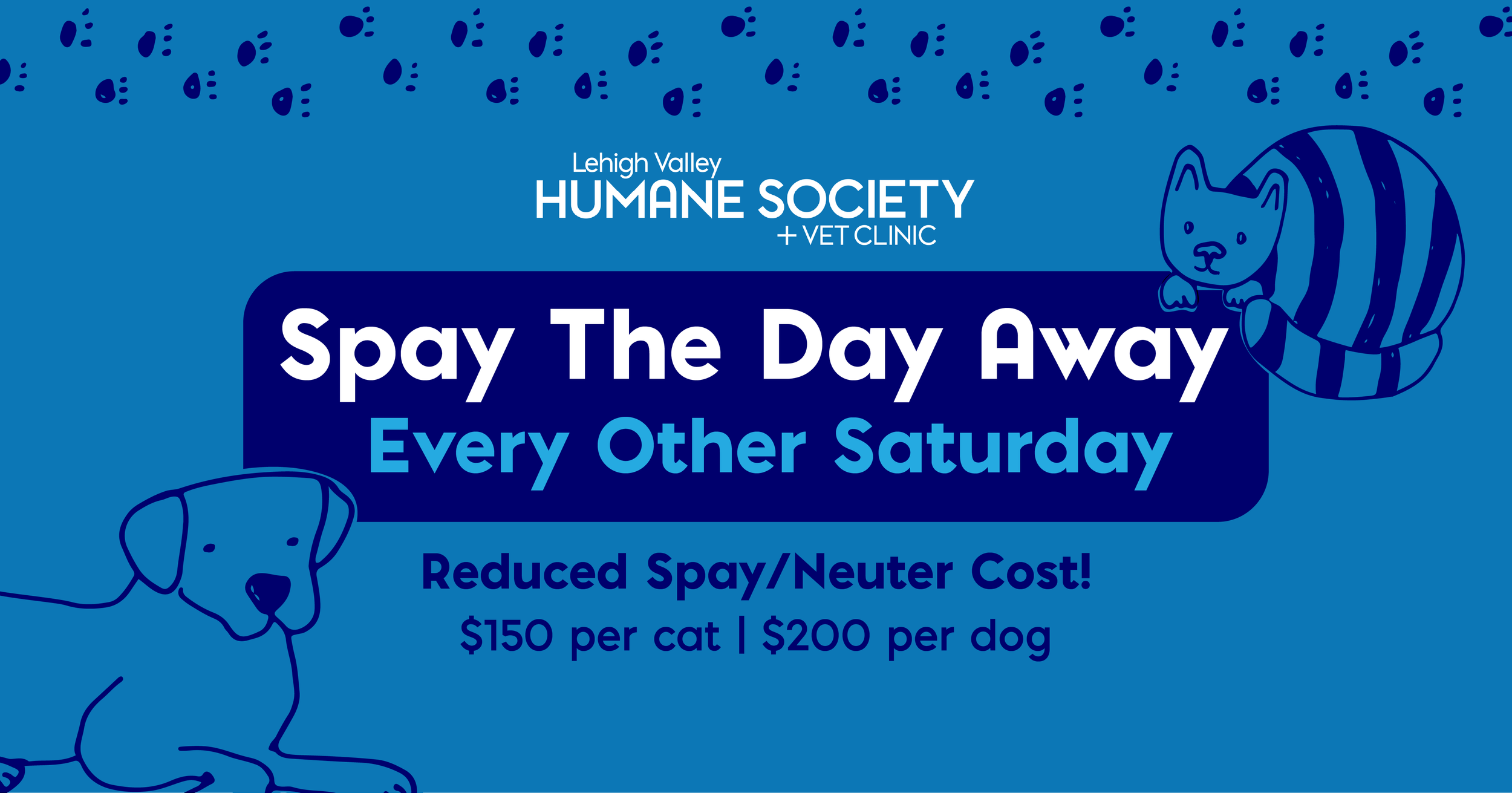 Spay The Day Away