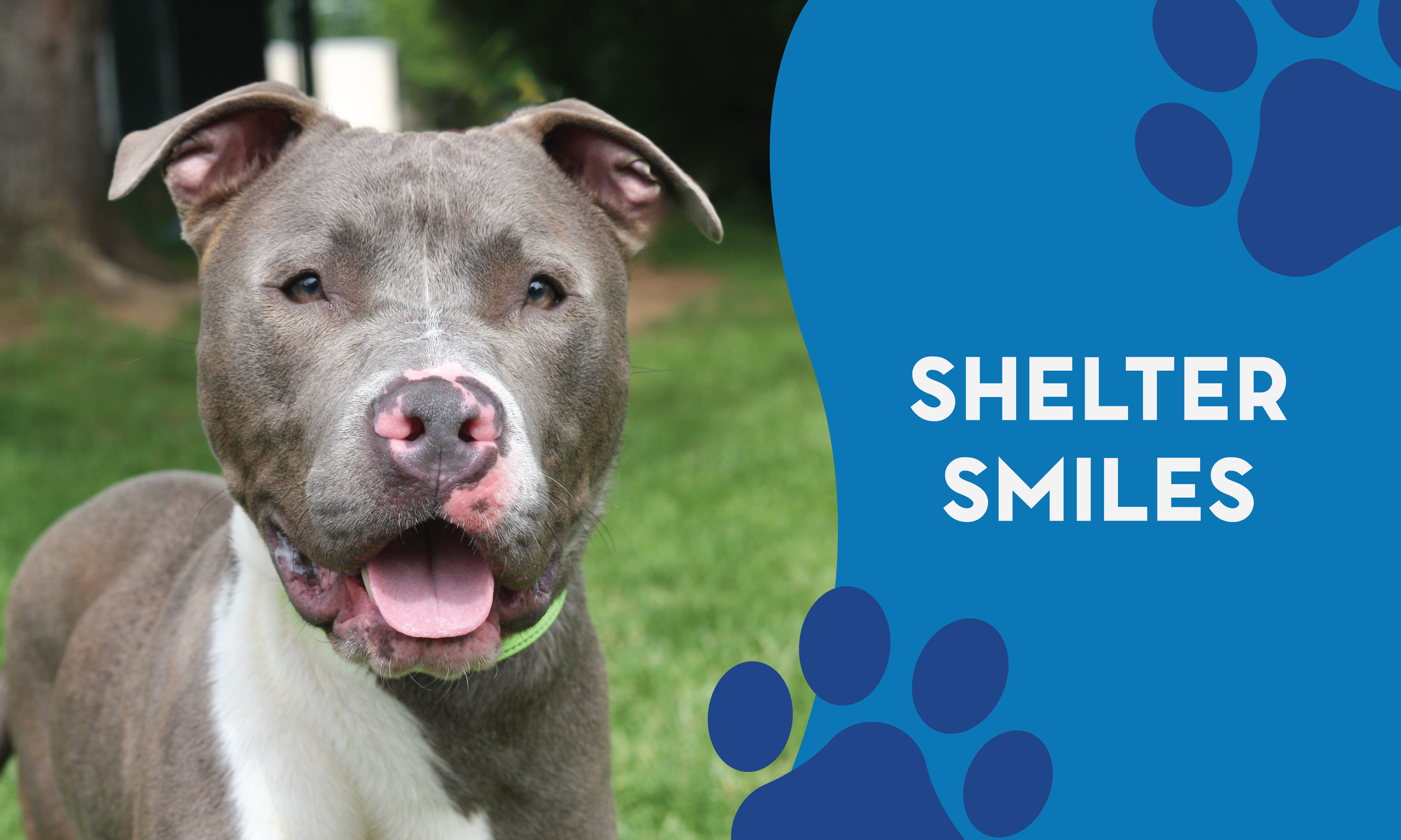 website banner temp-01.png