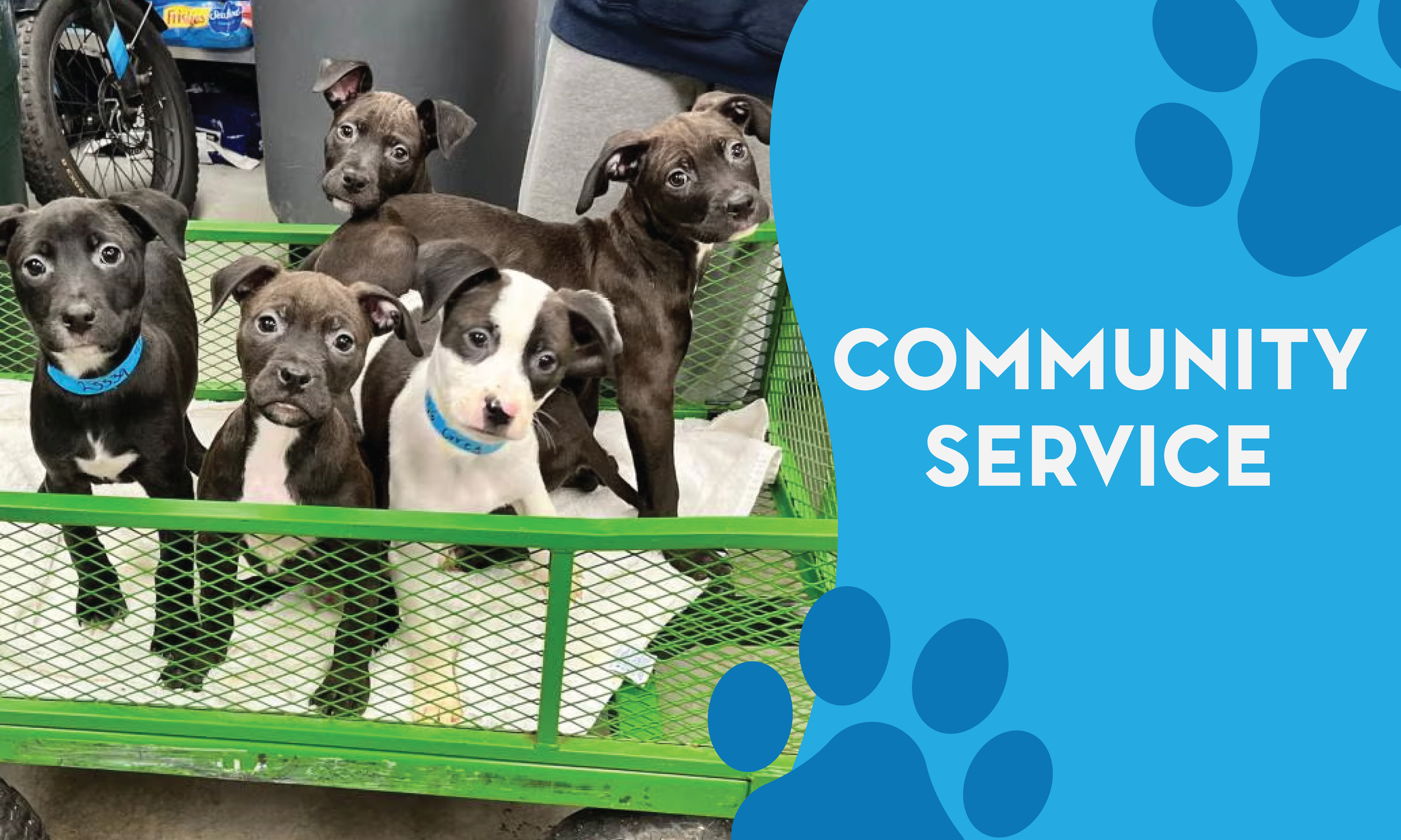 COMMUNITY SERVICE-01.png