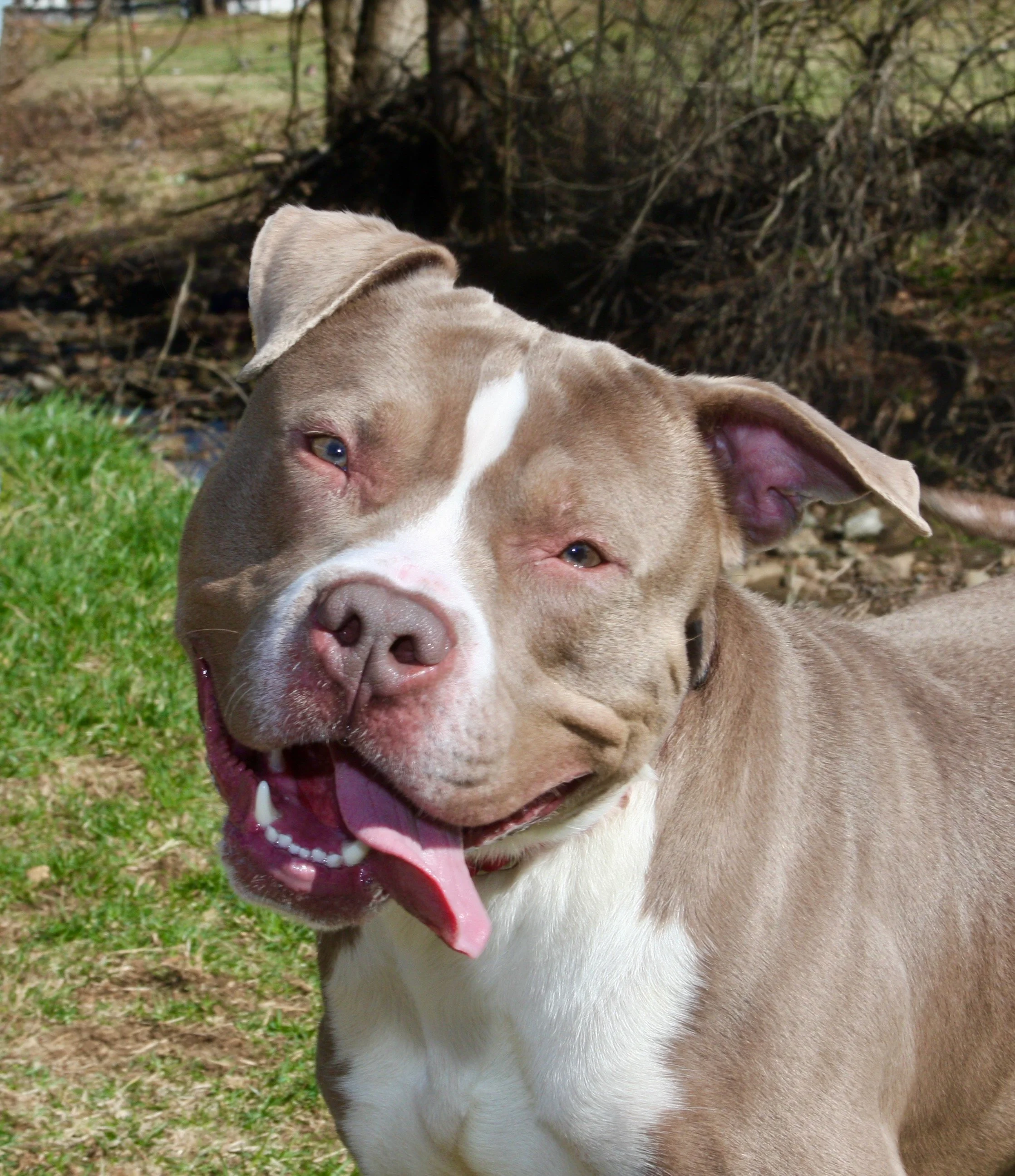 wonderbread       IMG_4419.jpeg