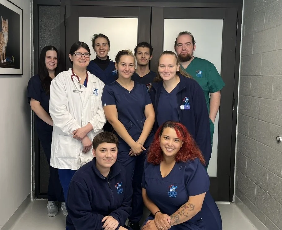 About — Lehigh Valley Humane Society