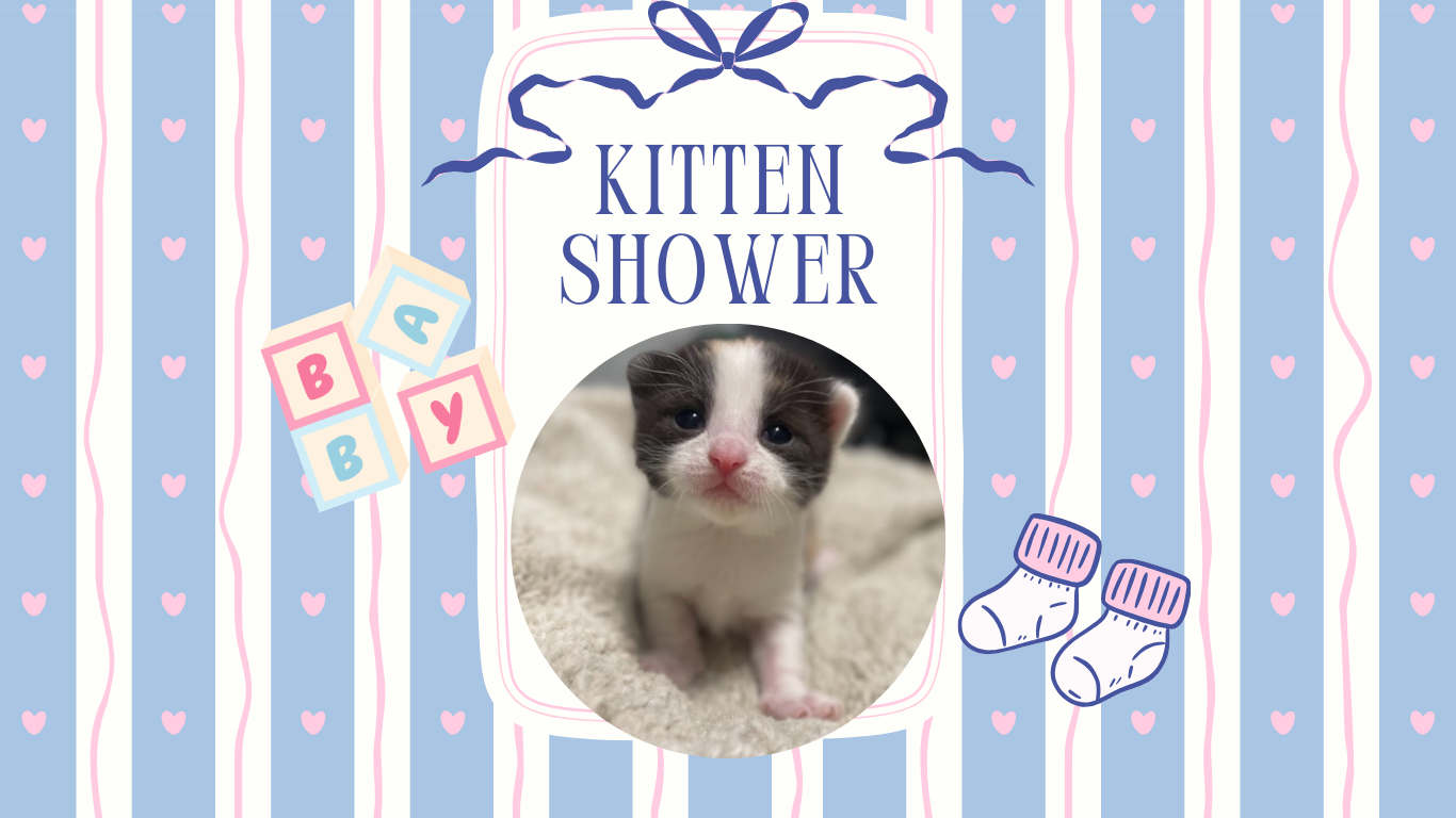 Blue Pink Whimsical Cute Childish Baby Shower Invitation (Website).png