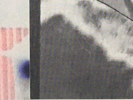 Riso print: sort/hvid