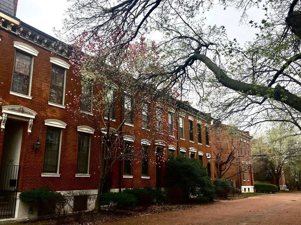 LaSalle Park Italianate Row (South 10th Street)