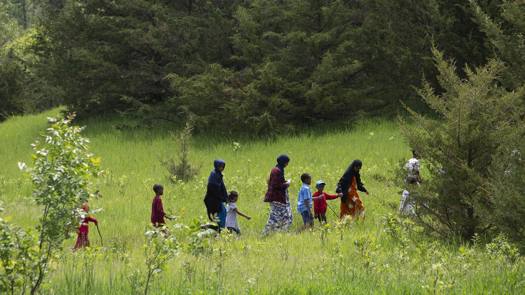 How often do spend free time in nature? APM Lab