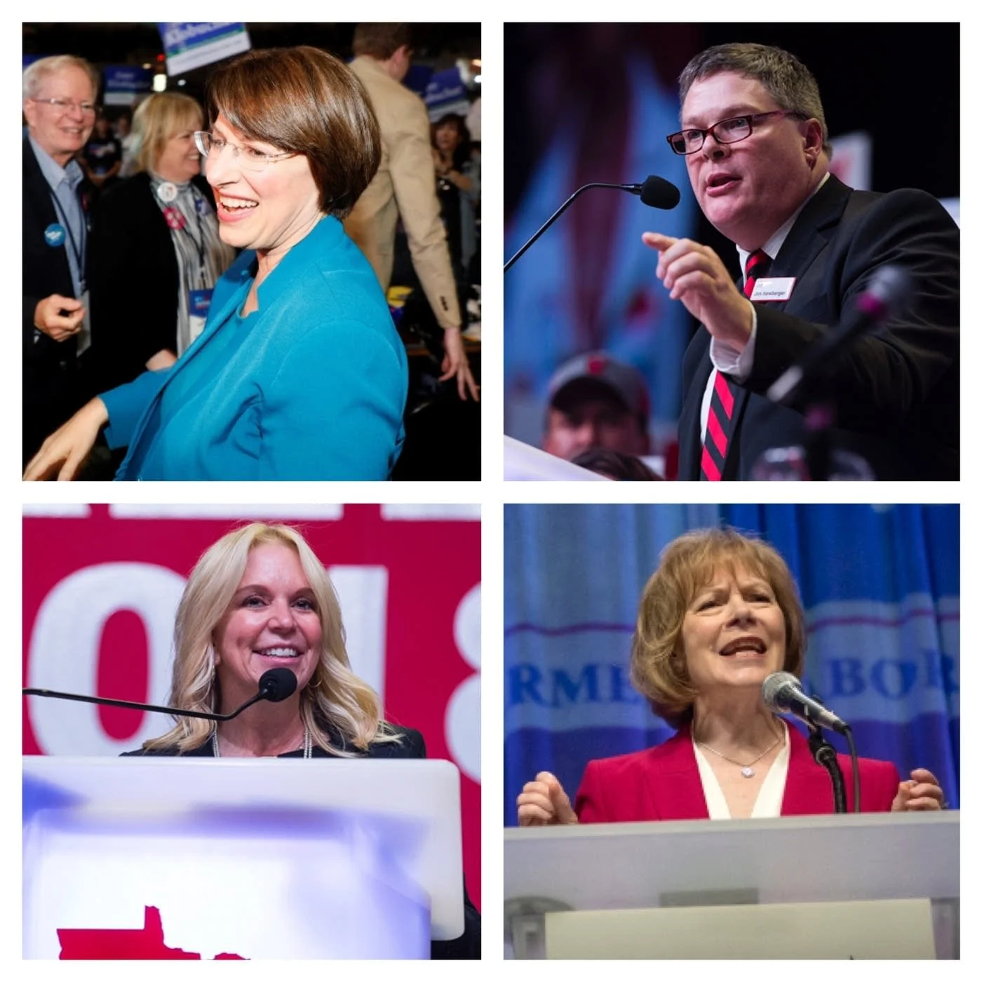 DFL Senior U.S. Sen. Amy Klobuchar (clockwise from upper left), Republican challenger state Rep. Jim Newberger, DFL Junior U.S. Sen. Tina Smith and Republican challenger state Sen. Karin Housley. Photo: MPR News.