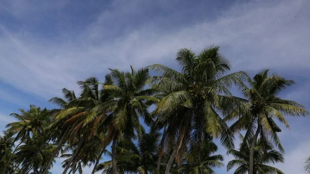 http___prod.static9.net.au___media_2019_04_01_10_37_Holidaying-is-good-for-your-health.jpg