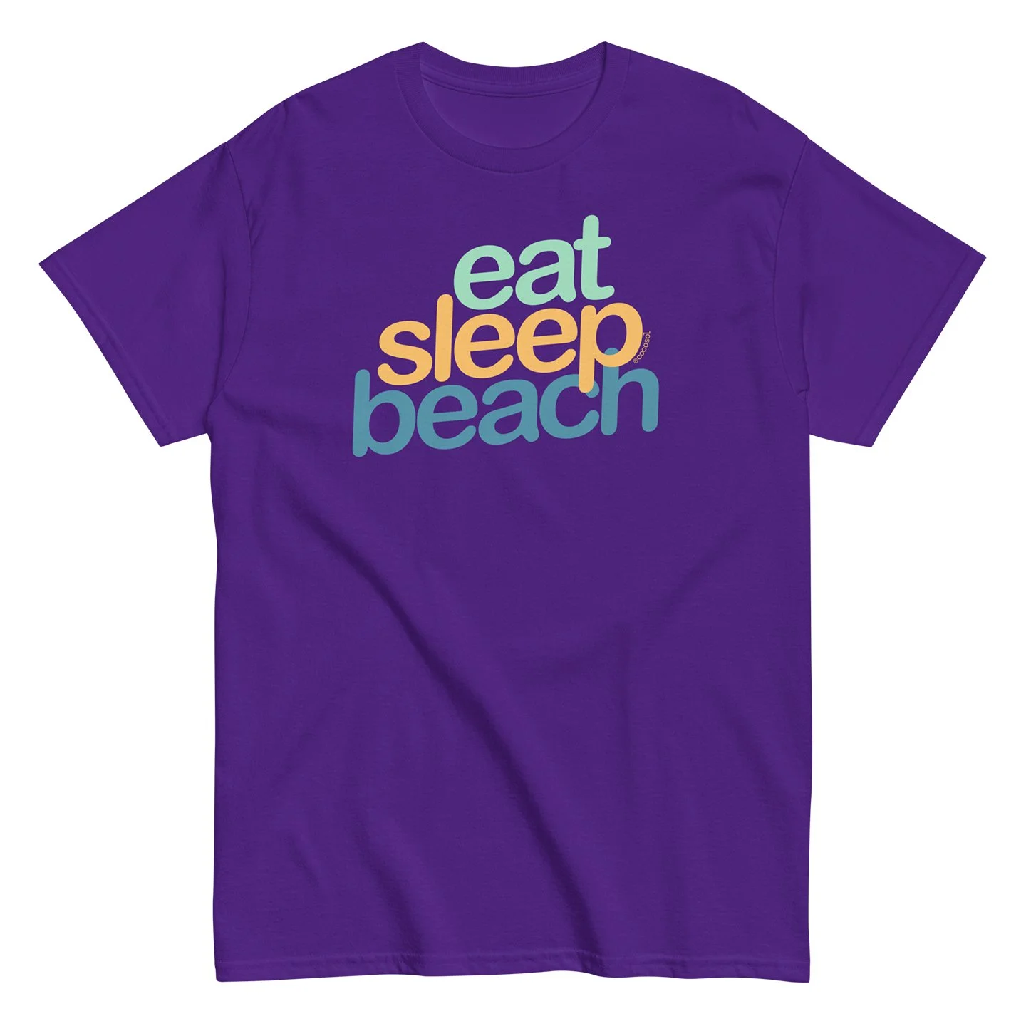 unisex-classic-tee-purple-front-68974a4ec04f5 copy.jpg