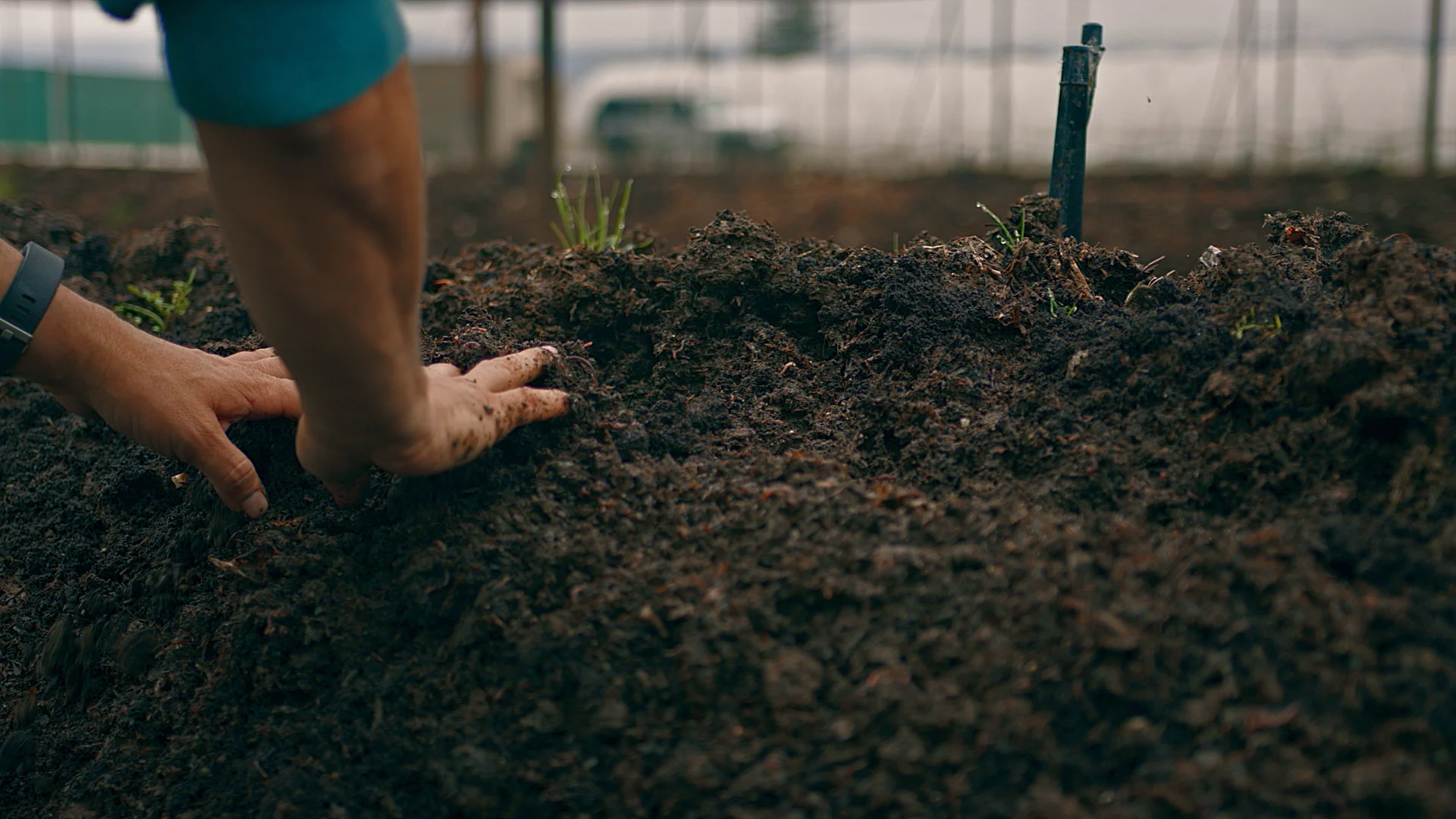 GoldenSeed-L-TheSoil-v05.00_00_27_08.Still005.jpg