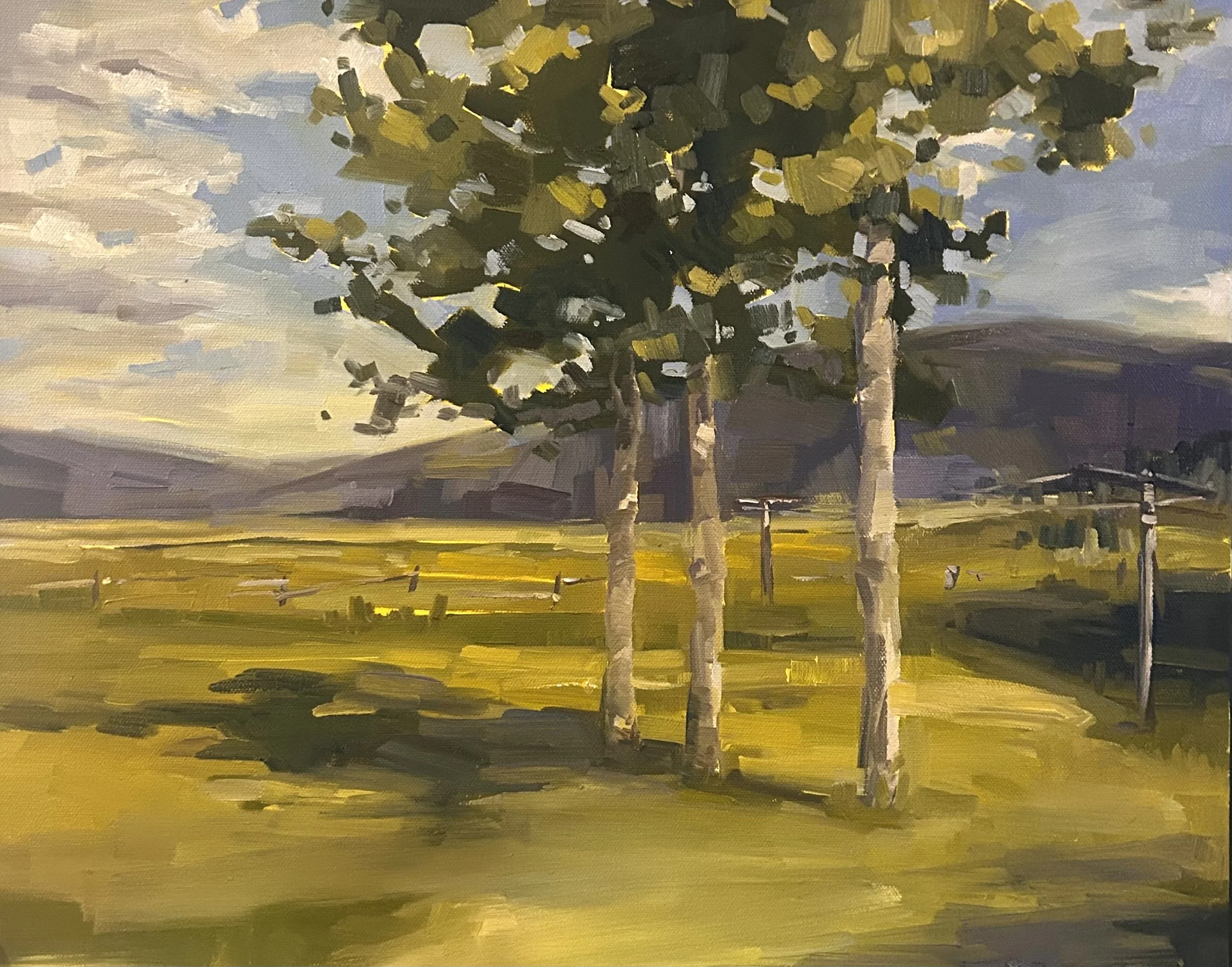 Simplifying the Landscape Workshop with Kendyl Schofield