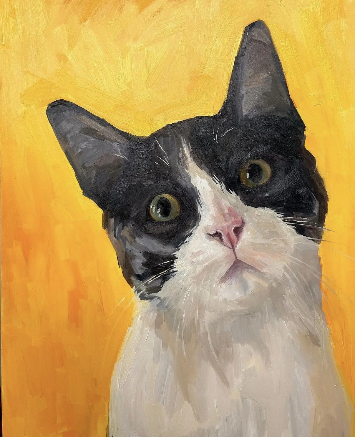 Pet Portraits Workshop with Kendyl Schofield