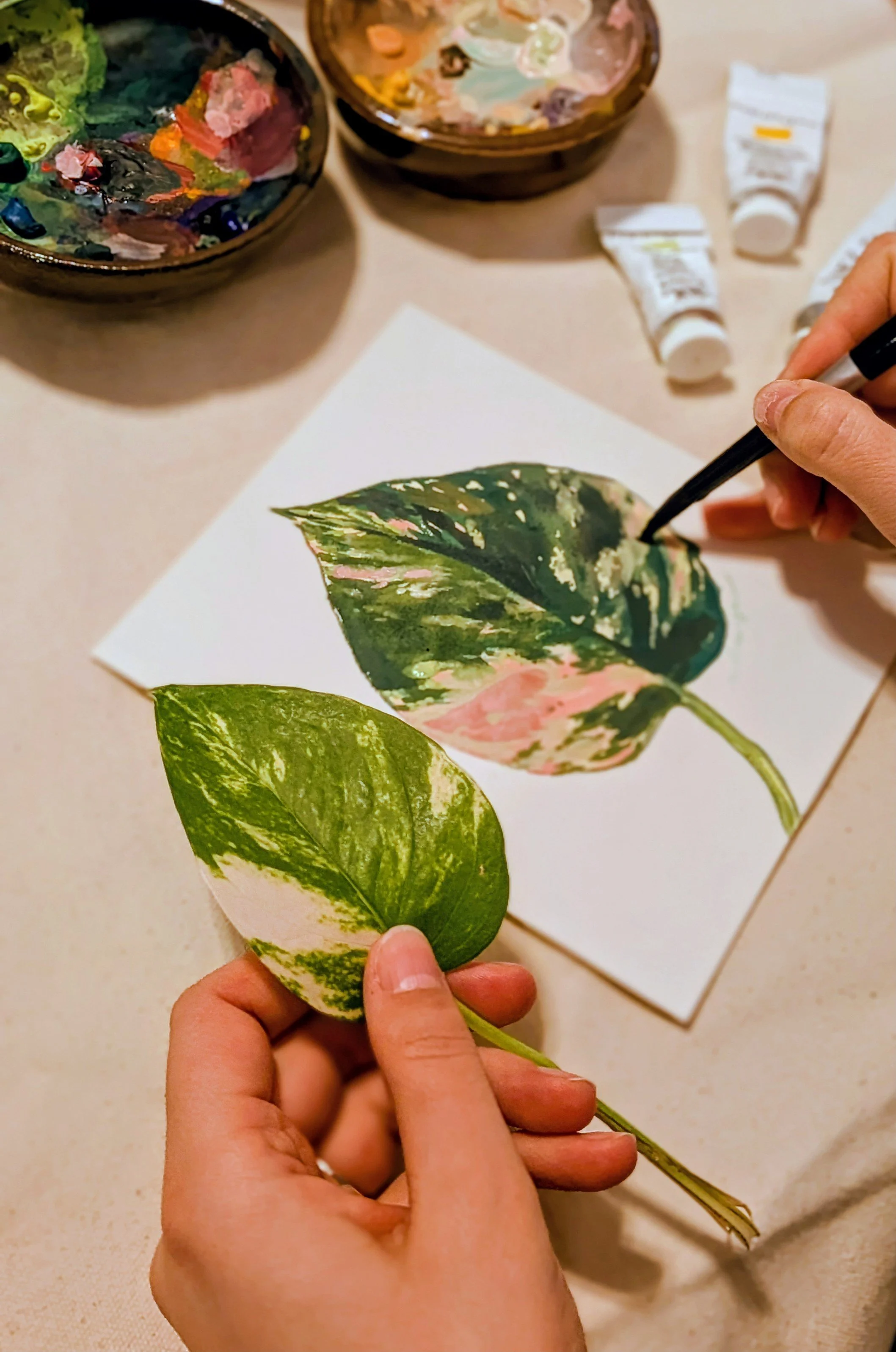 Gouache Painting &amp; Plant Propagating at Tracy Aviary with Louise Christensen