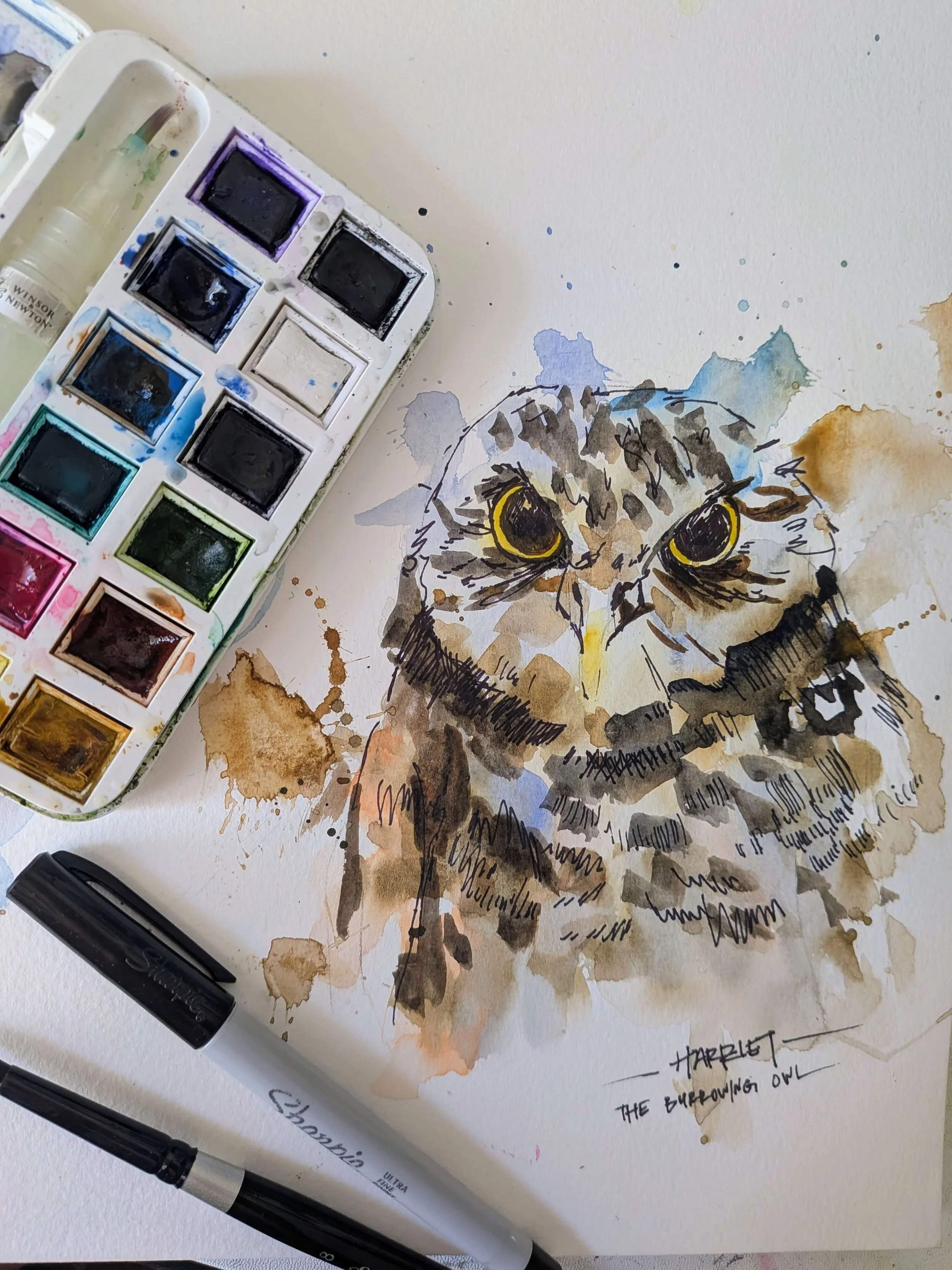 Watercolor Owls at Tracy Aviary with Louise Christensen