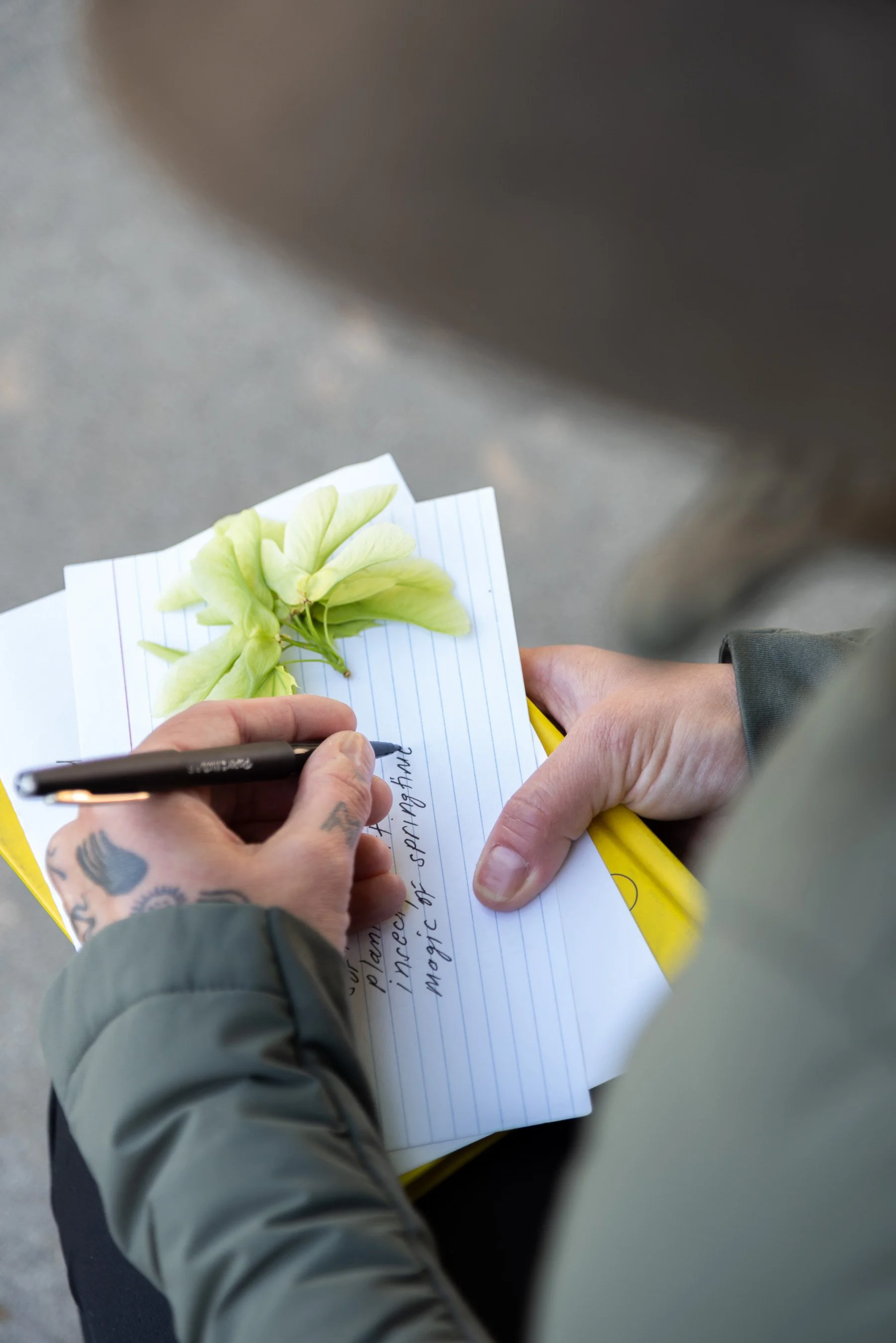 The Enchantment of the Ordinary: A Walking Poetry Workshop with Masha Shukovich