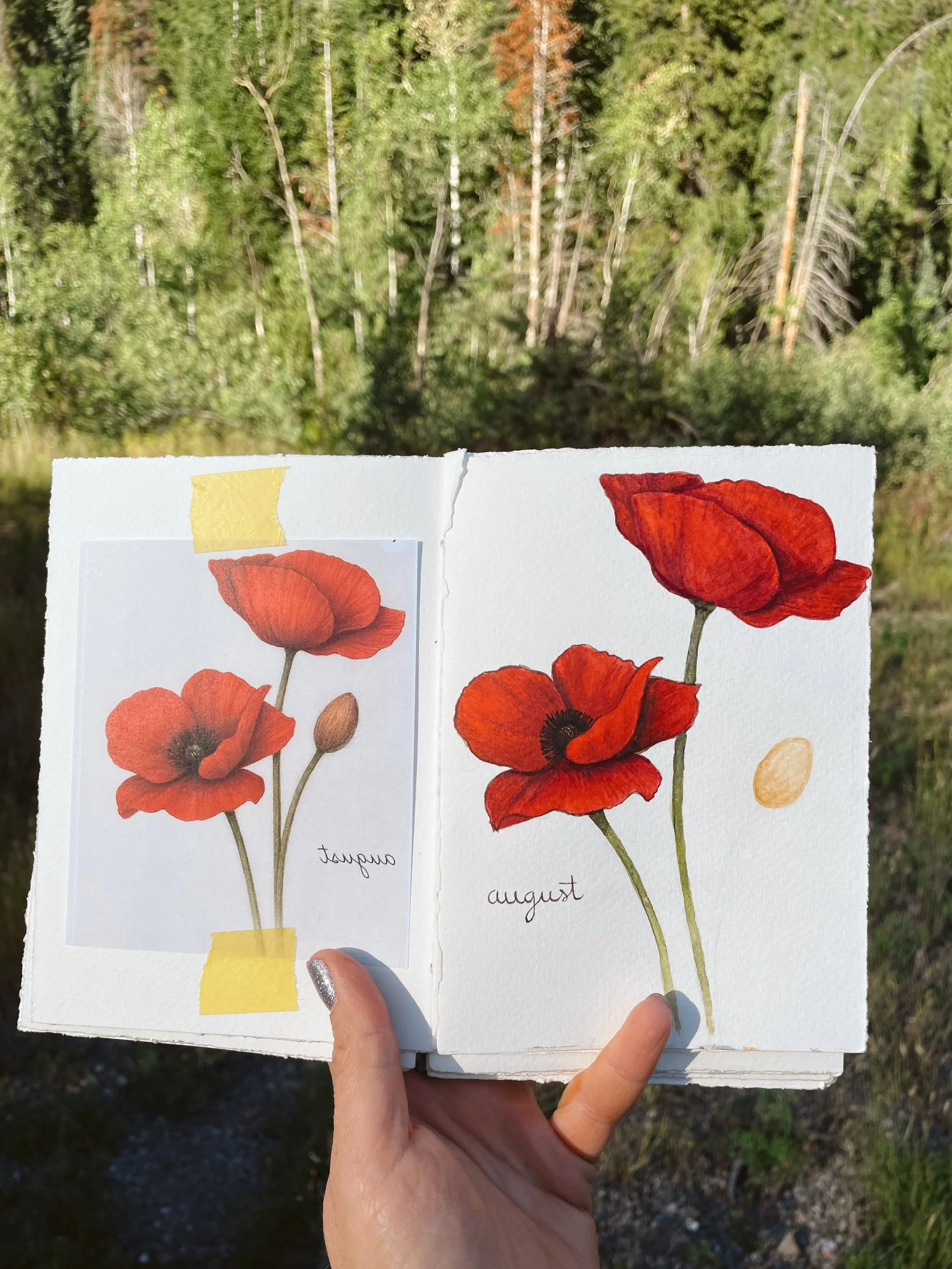 Anyone else ready for fall in a few weeks? It&rsquo;s our favorite season for painting! 

These flowers were a demo piece from last month&rsquo;s Watercolor Foundations class, taught by @britnysnelart on Thursday evenings. She features a different be