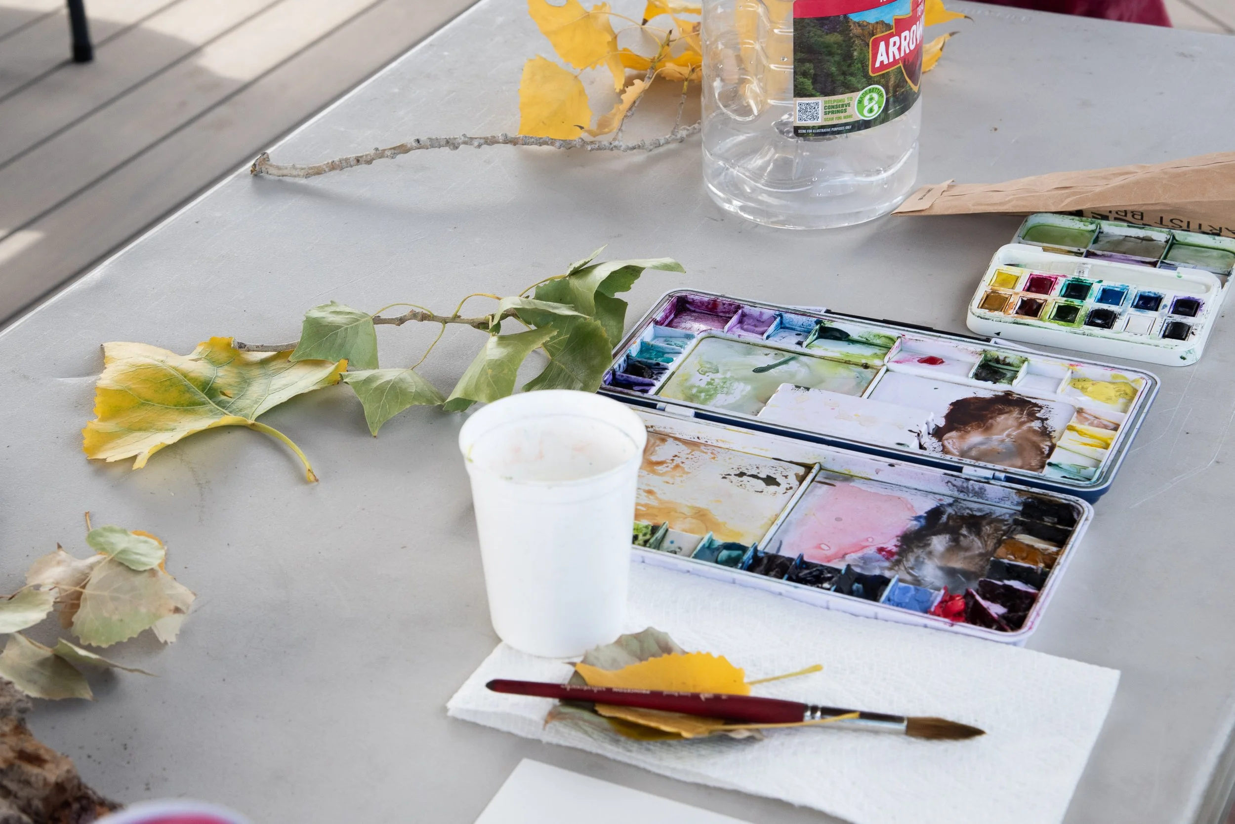 Seasons in Transition: Nature Walk &amp; Watercolor