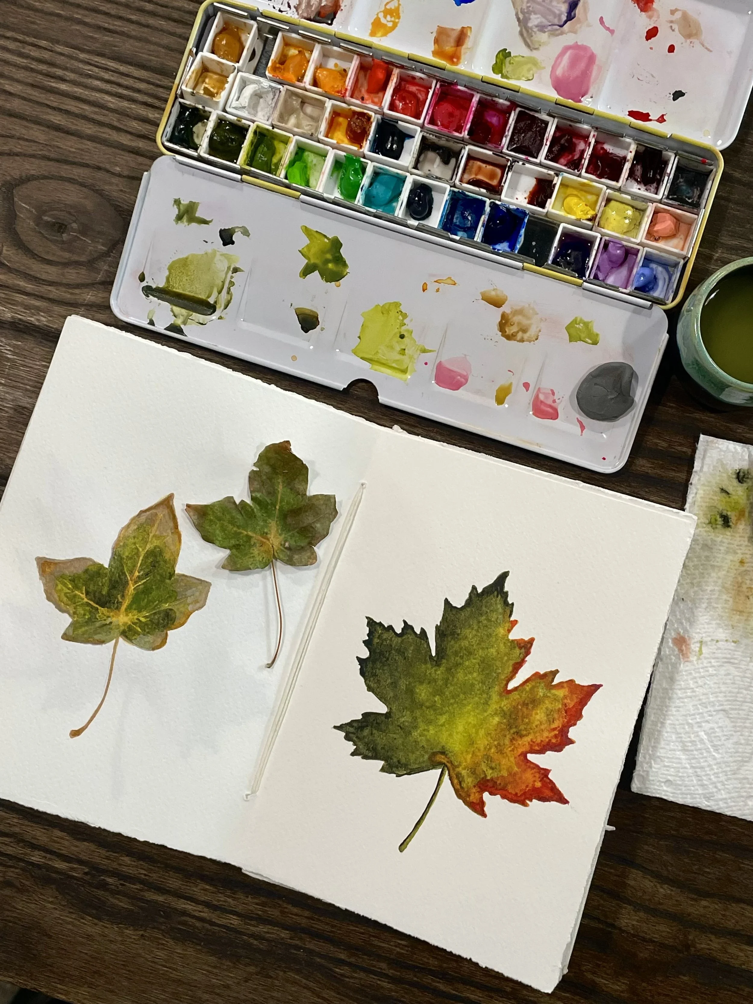 Seasons in Transition: Nature Walk &amp; Watercolor