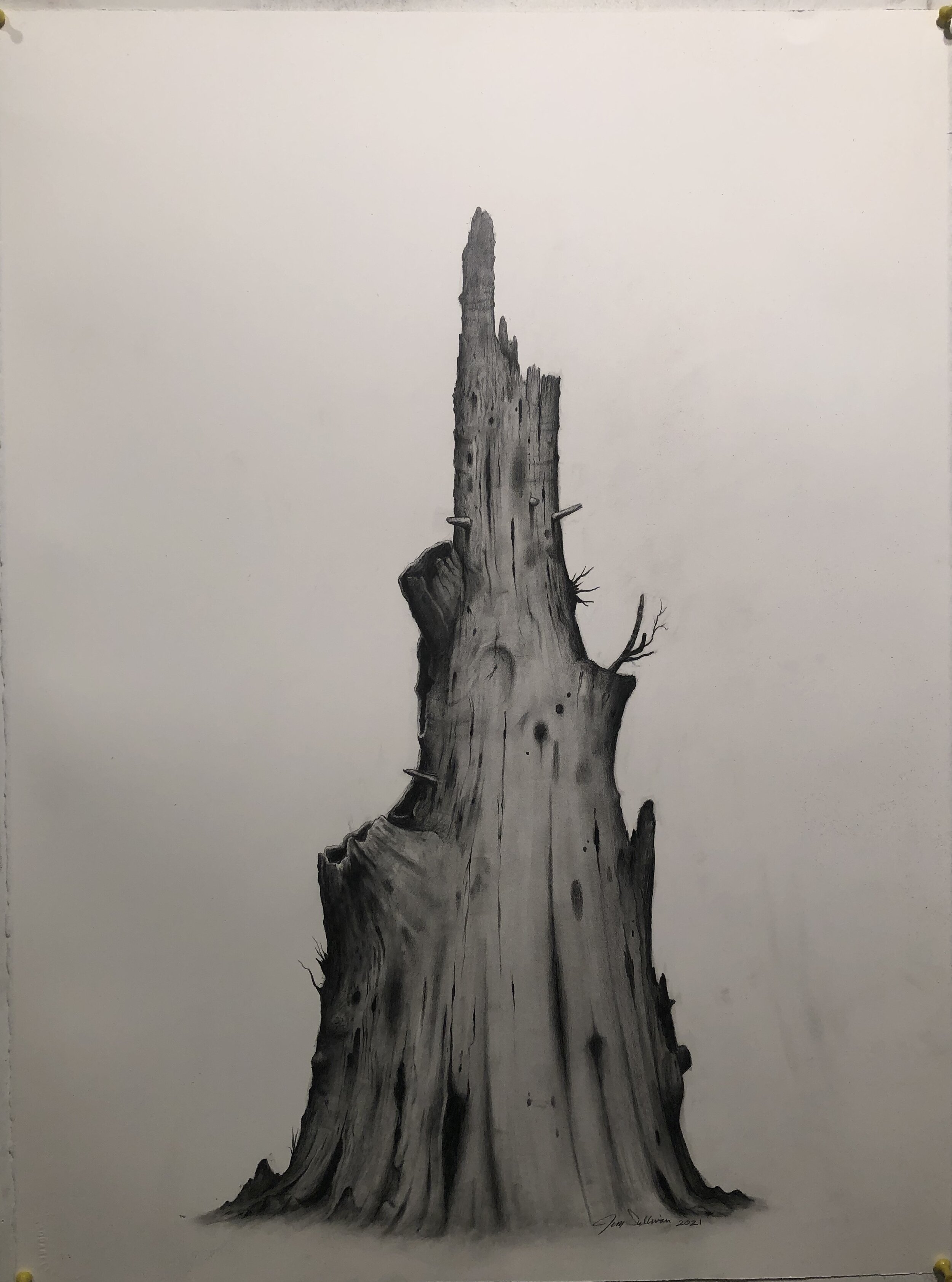 burnt tree 2021 graphite