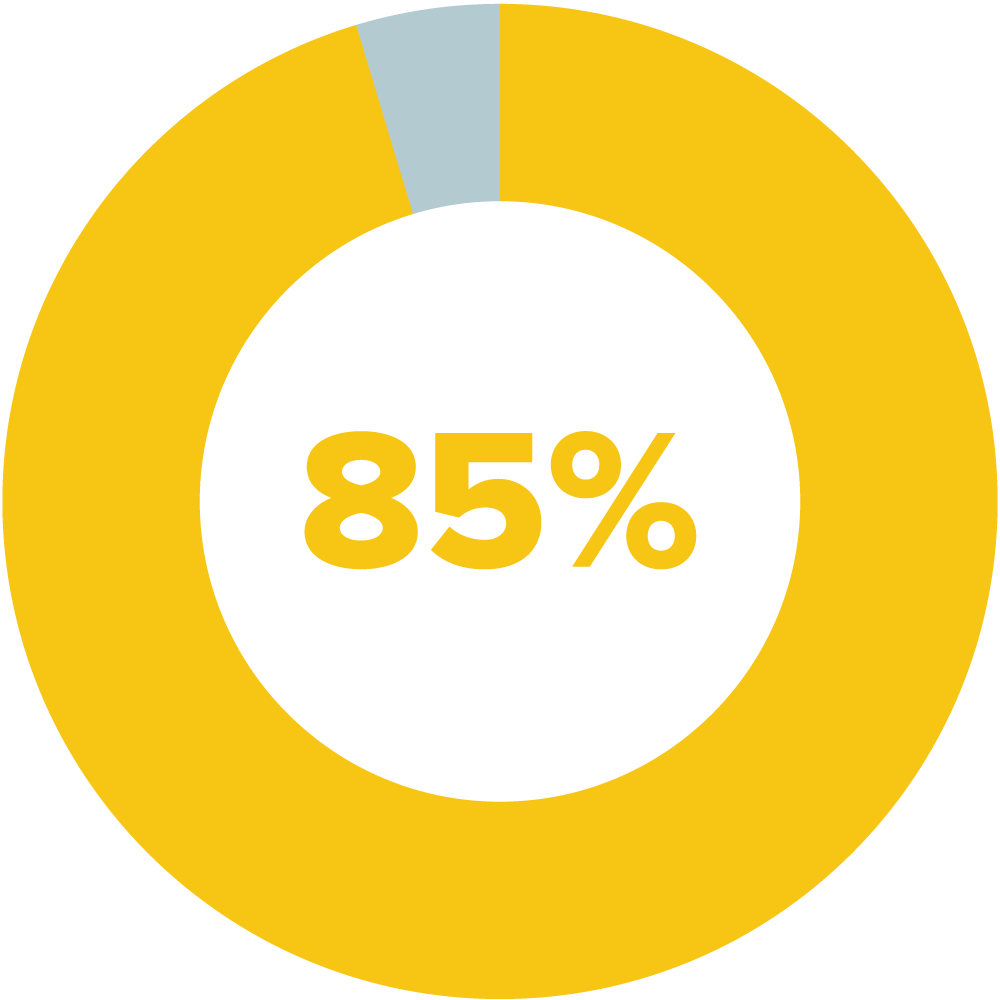 95% of student participants reported that the program helped them become more aware of their body.