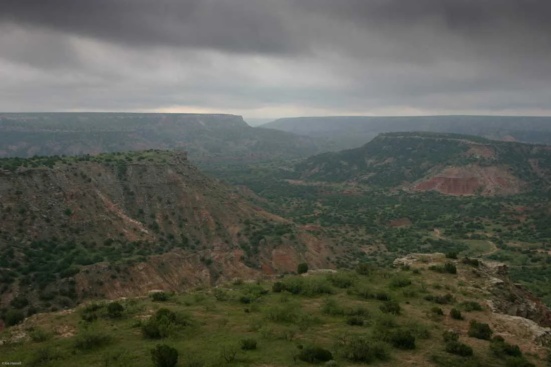 20090831_paloduro_0008_web.jpg