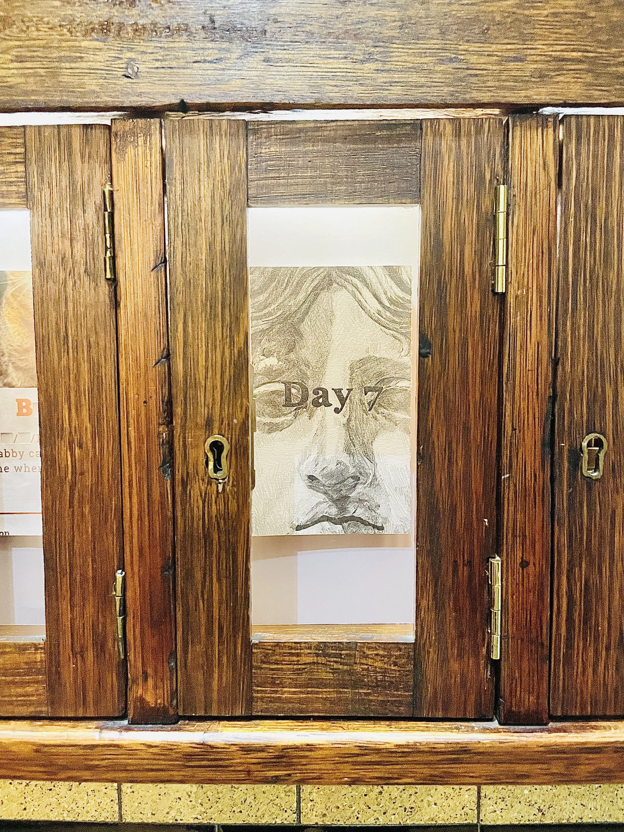 ‘drawings, photographs and printed materials from personal archives compiled over 19 of 20 consecutive days’ Photographed by Shell Odgers