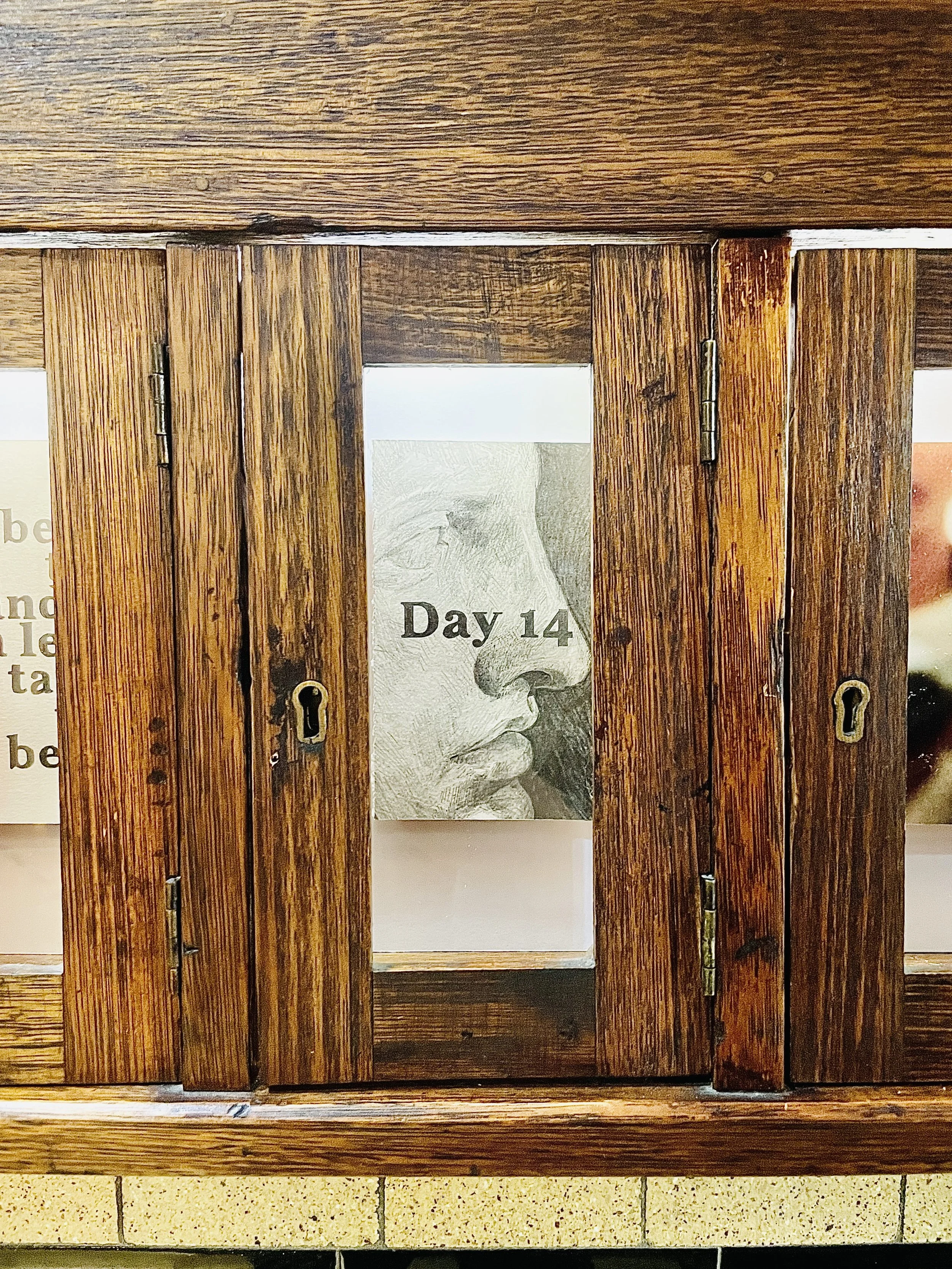‘drawings, photographs and printed materials from personal archives compiled over 19 of 20 consecutive days’ Photographed by Shell Odgers
