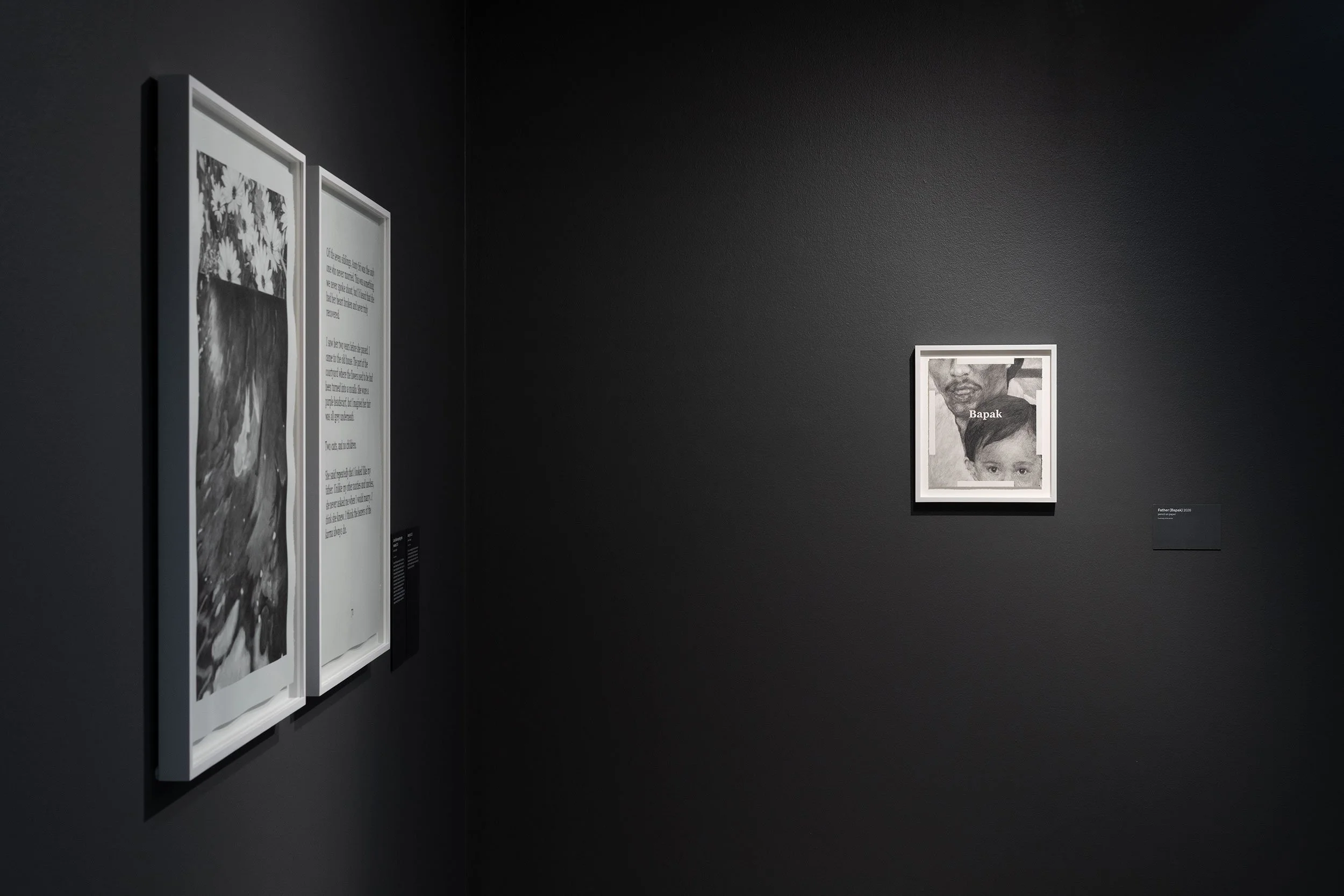  Installation view,  Badra Aji: Get the boy a dog and call it a day , 2026, Heide Museum of Modern Art, photograph: Christian Capurro 