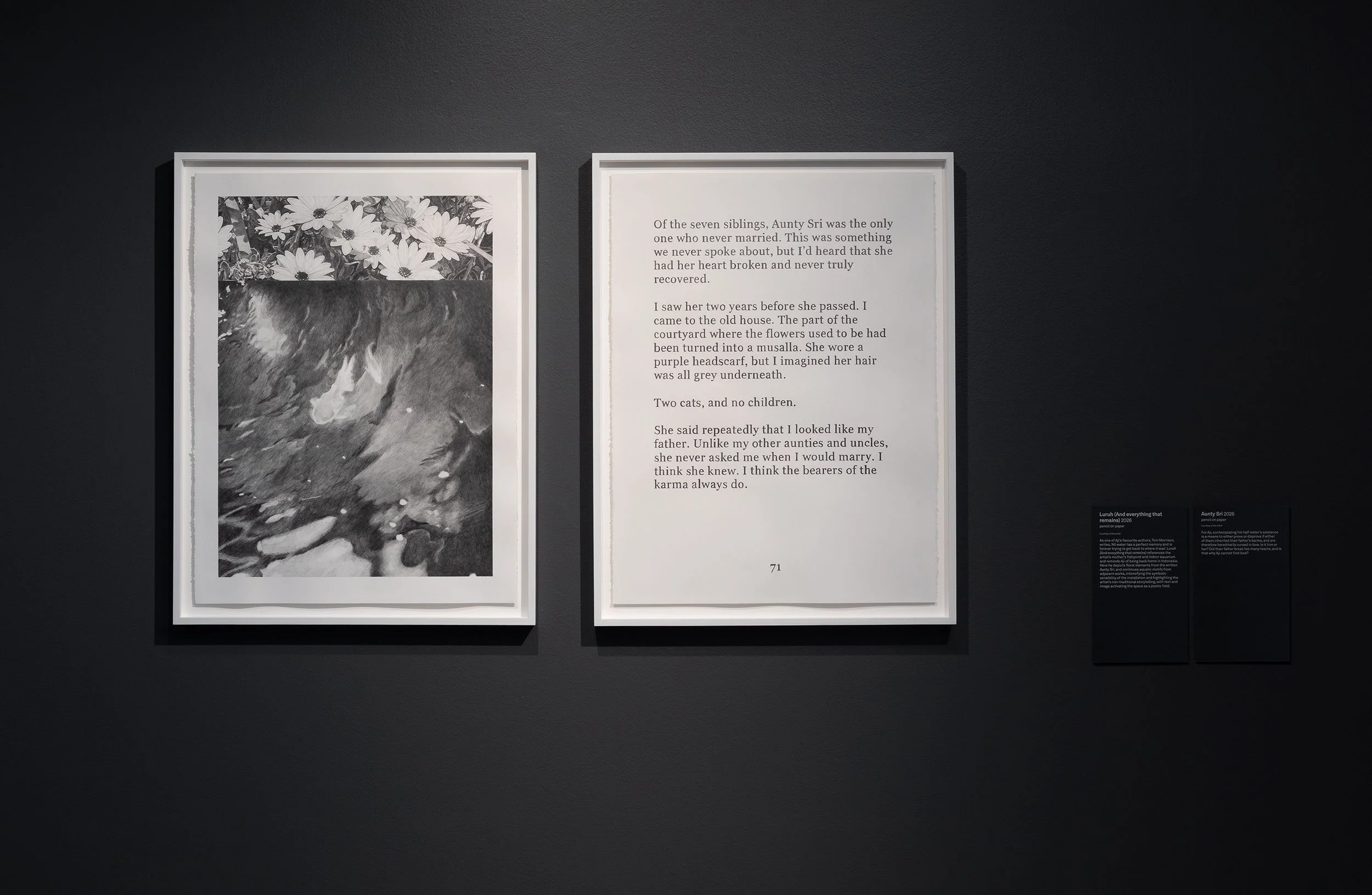  Installation view,  Badra Aji: Get the boy a dog and call it a day , 2026, Heide Museum of Modern Art, photograph: Christian Capurro 