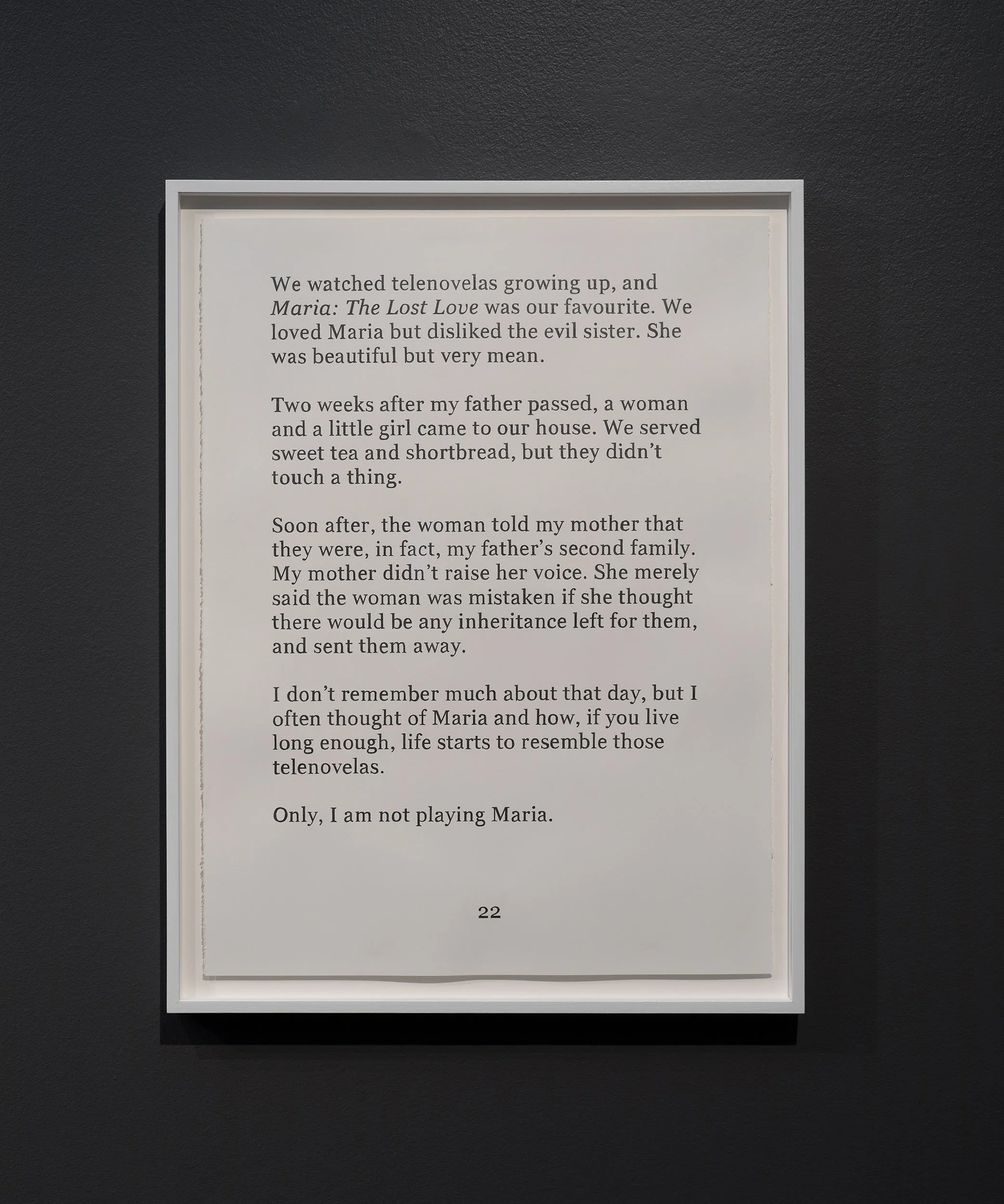  Installation view,  Badra Aji: Get the boy a dog and call it a day , 2026, Heide Museum of Modern Art, photograph: Christian Capurro 