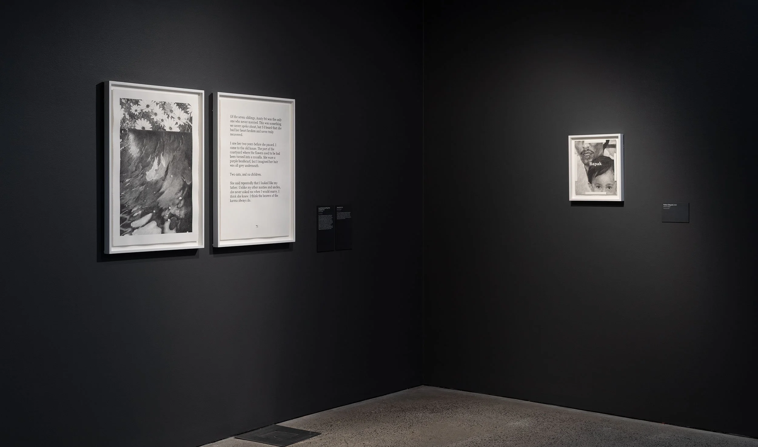  Installation view,  Badra Aji: Get the boy a dog and call it a day , 2026, Heide Museum of Modern Art, photograph: Christian Capurro 