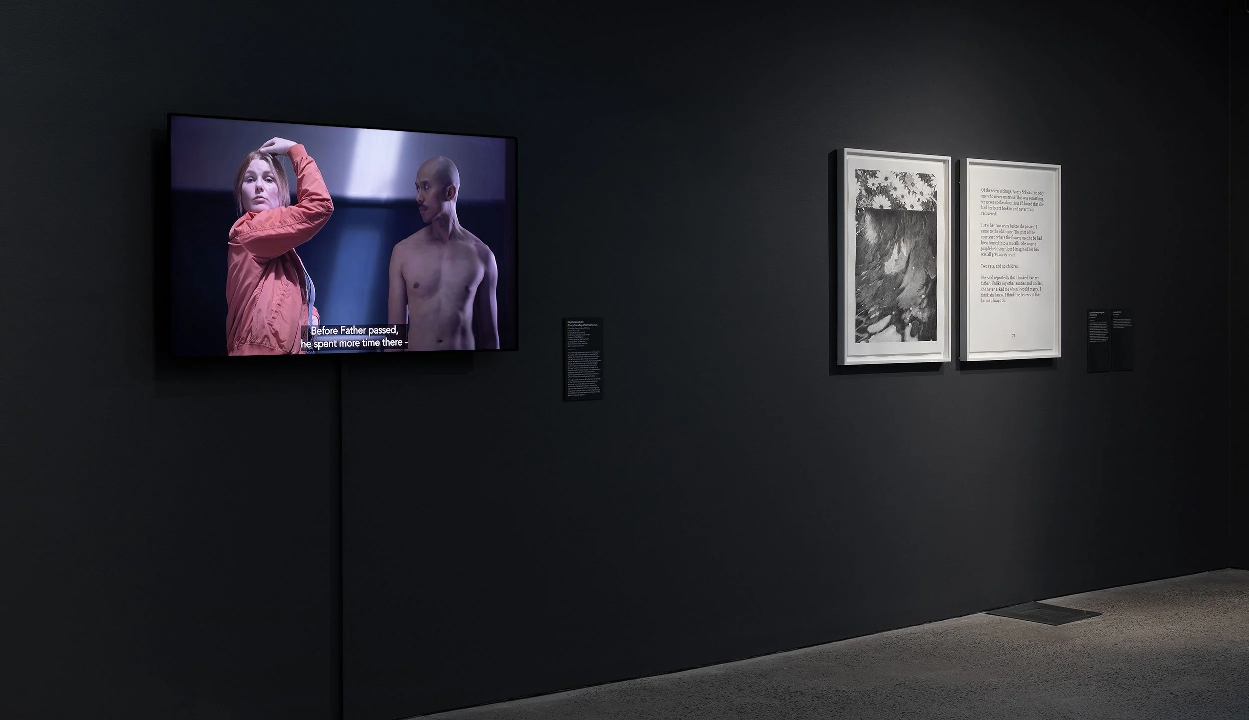  Installation view,  Badra Aji: Get the boy a dog and call it a day , 2026, Heide Museum of Modern Art, photograph: Christian Capurro 