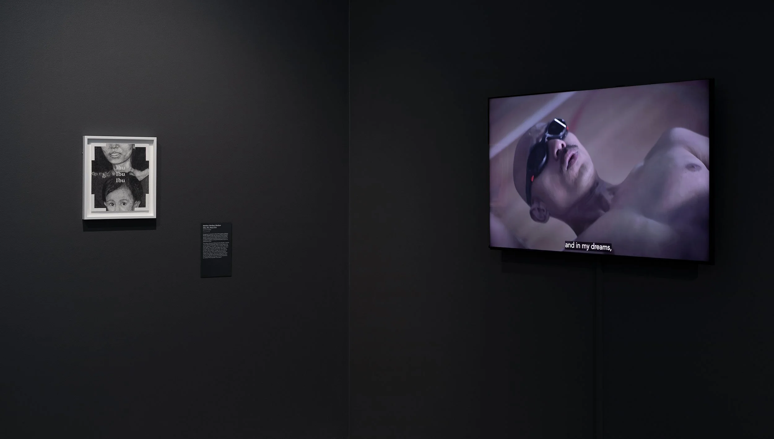  Installation view,  Badra Aji: Get the boy a dog and call it a day , 2026, Heide Museum of Modern Art, photograph: Christian Capurro 