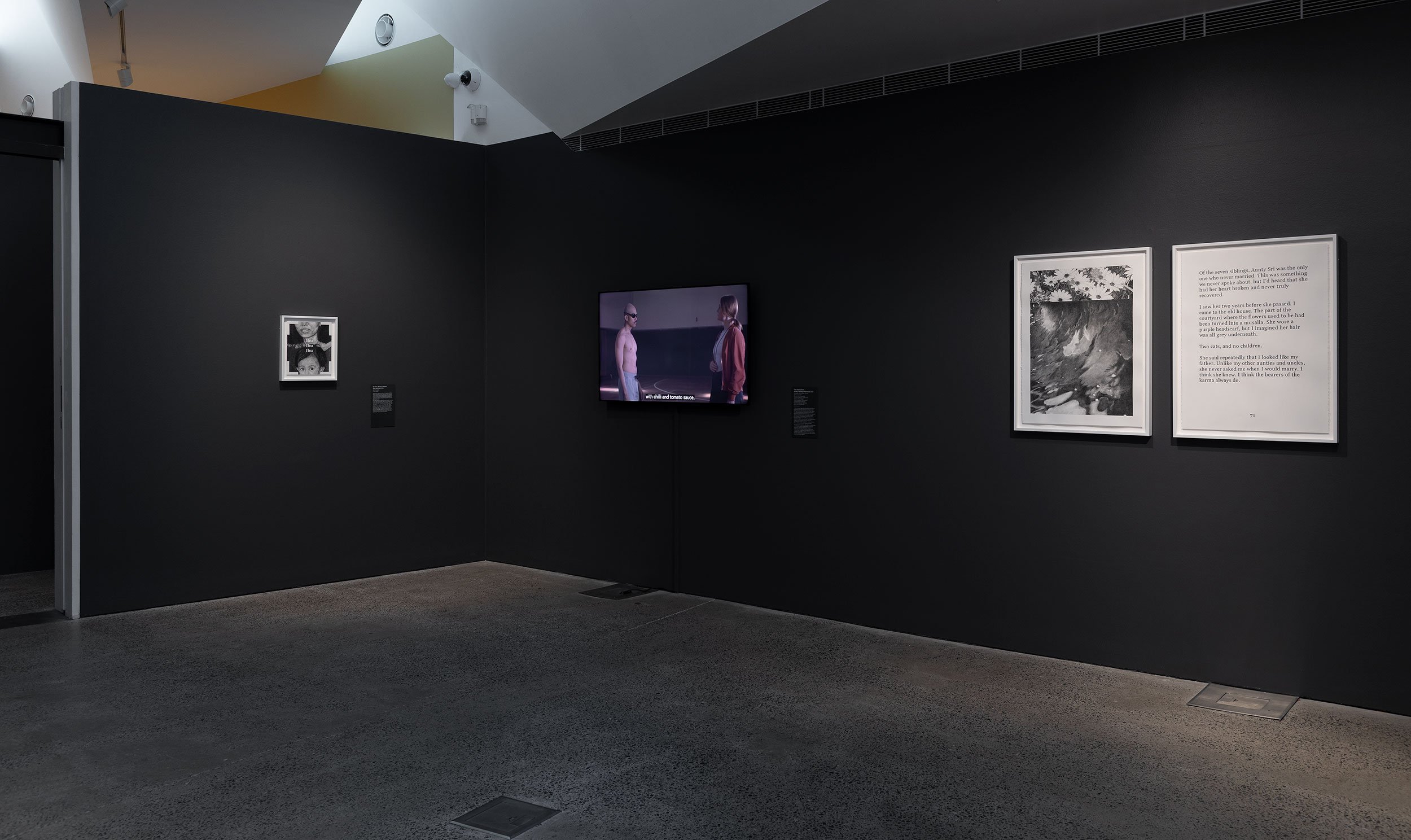  Installation view,  Badra Aji: Get the boy a dog and call it a day , 2026, Heide Museum of Modern Art, photograph: Christian Capurro 