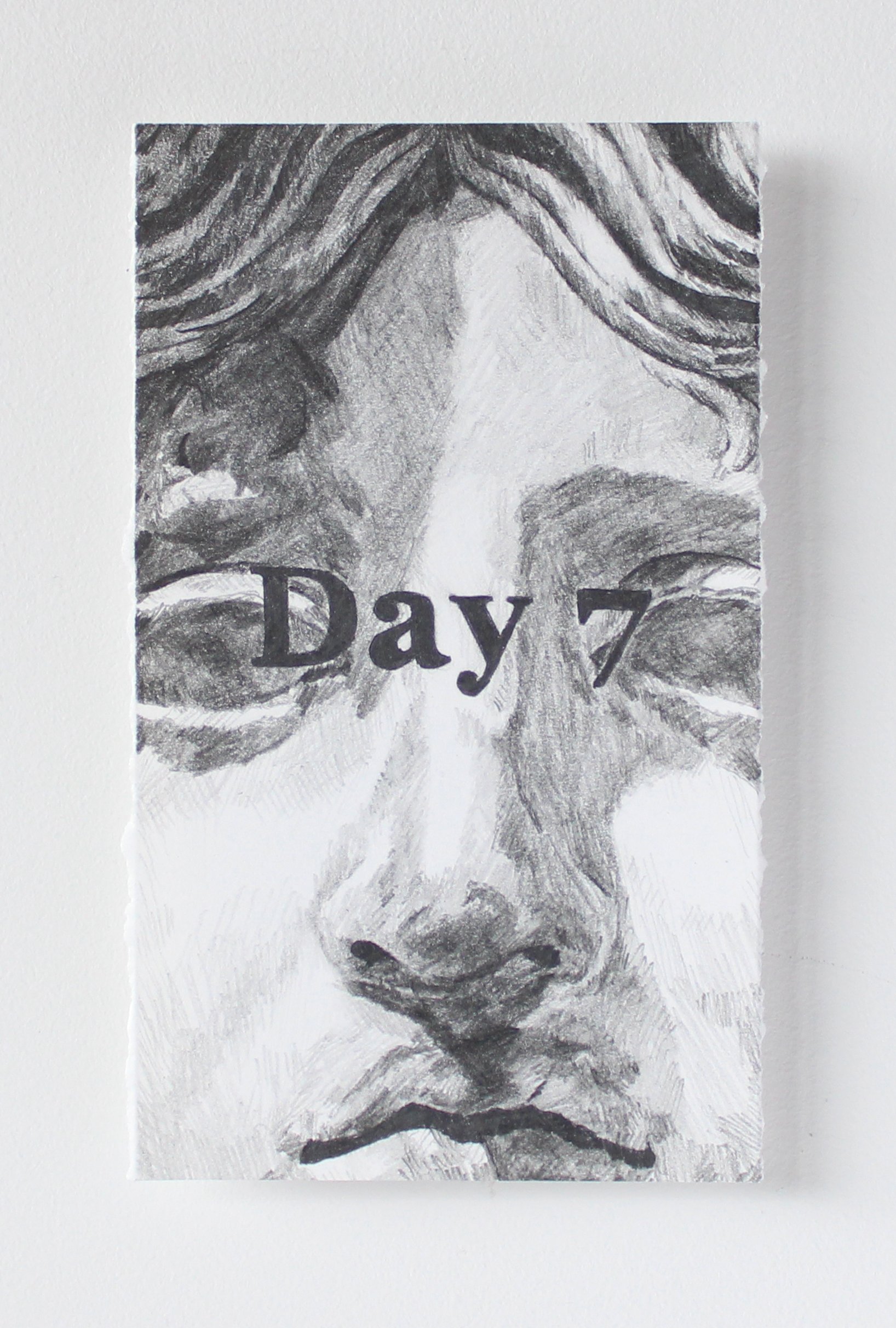 Day 7