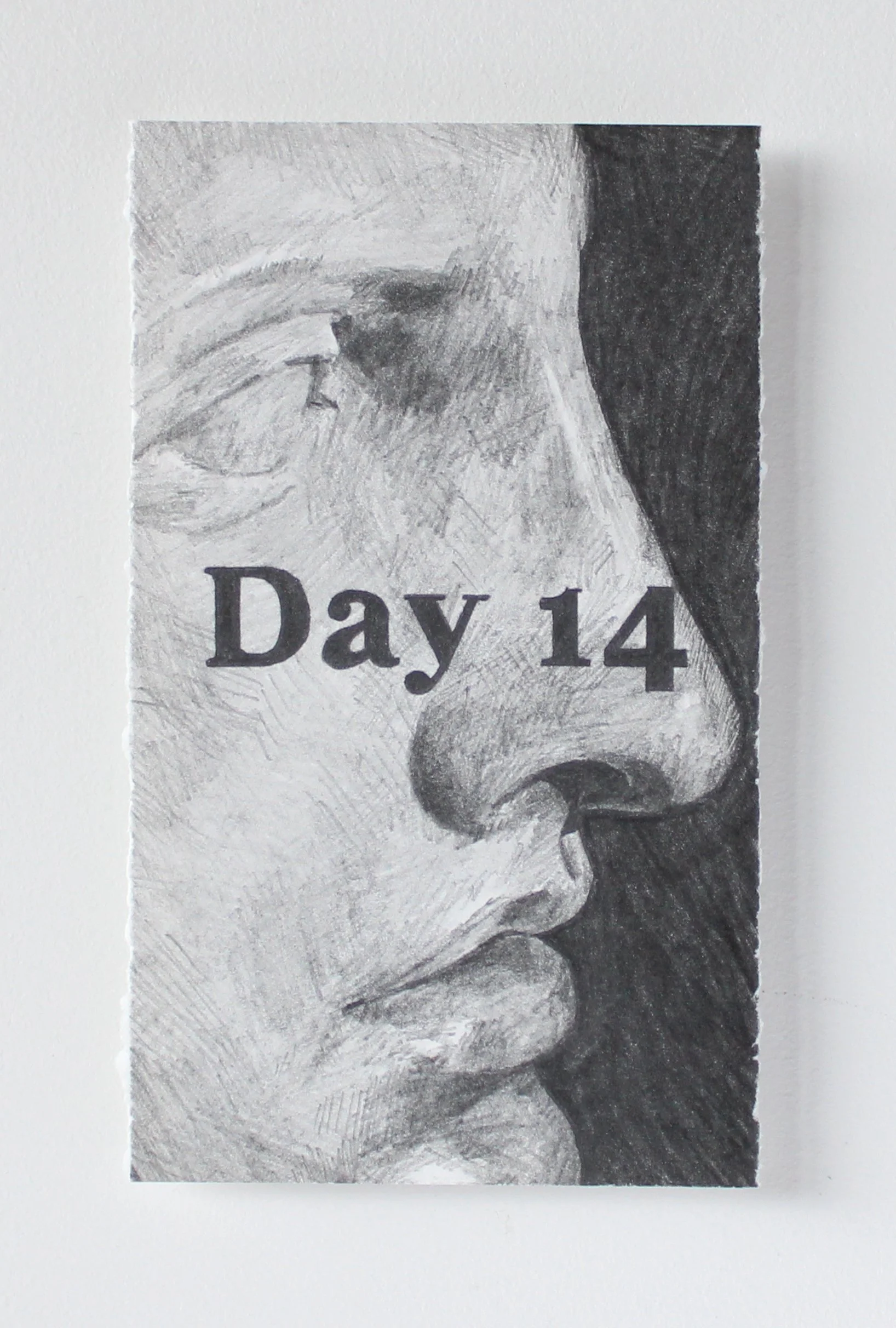 Day 14