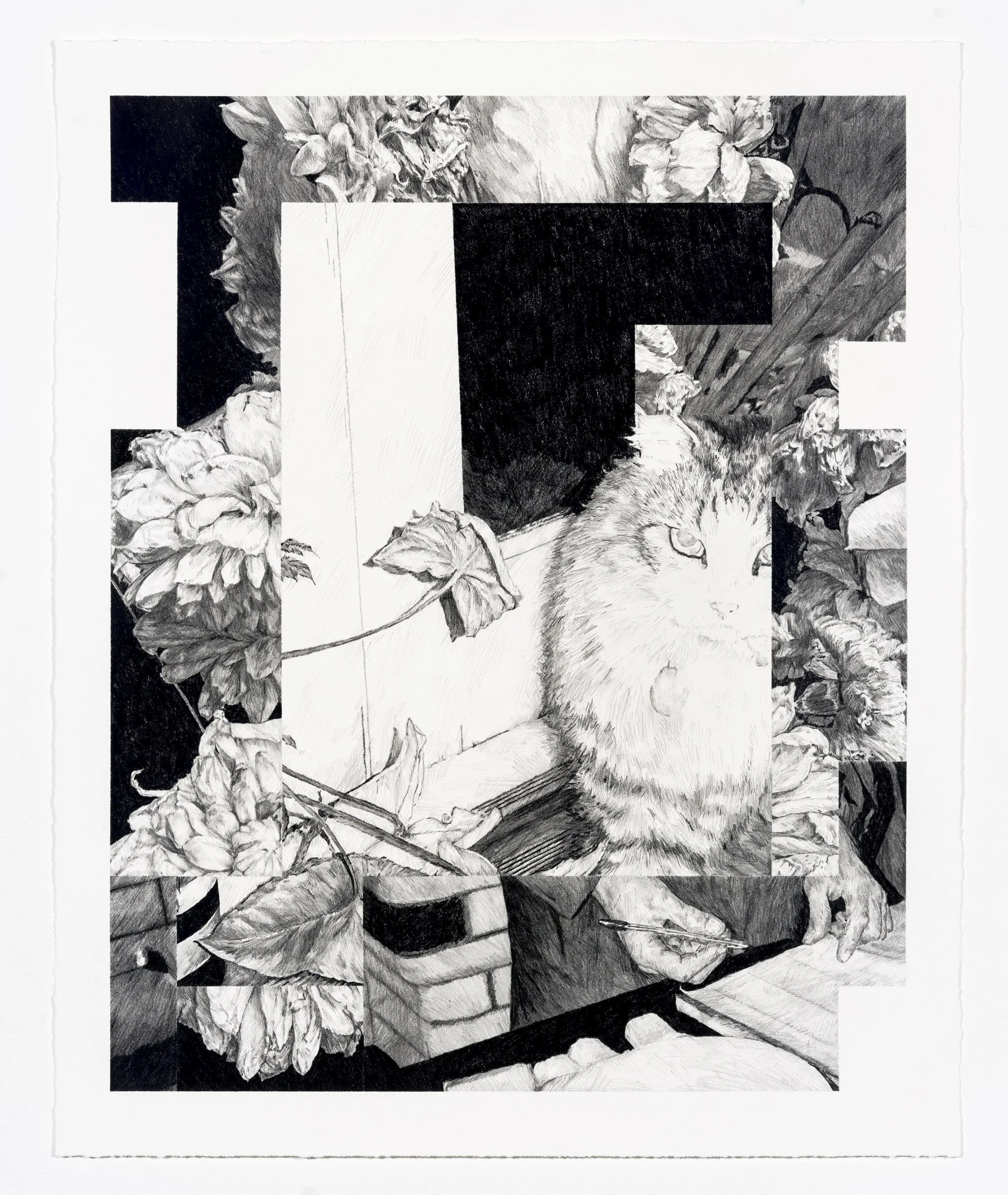 Rindu (Dead Flowers, Ghost Cat)