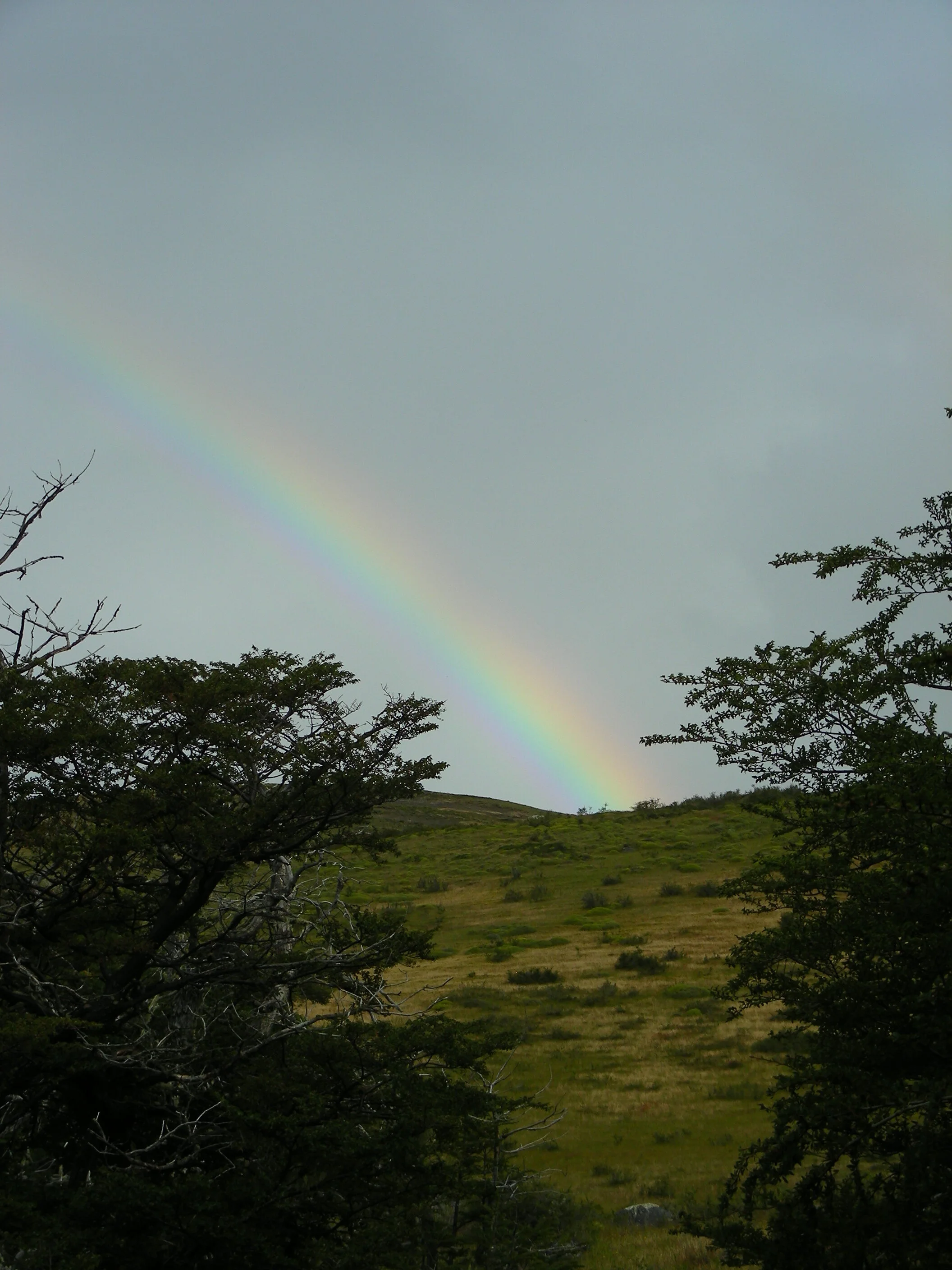 DSCN9667.JPG