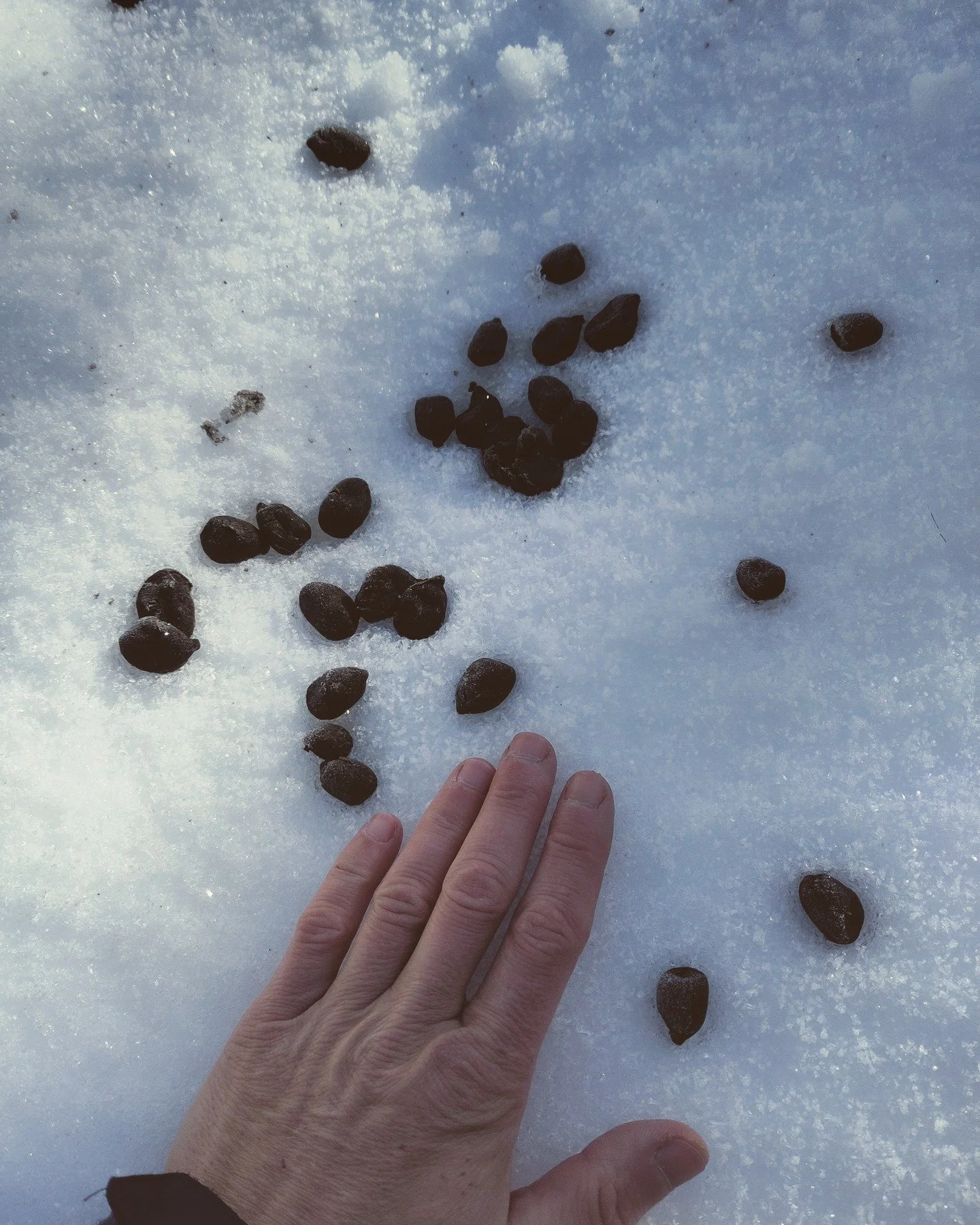 LES CHEMINS DE L'APPARTENANCE 3/6. D&eacute;barquer dans un lieu touristique comme La Vall&eacute;e du Haut-Giffre comporte ses d&eacute;fis en mati&egrave;re d'appartenances. R&eacute;sidant dans une commune dont 85% des maisons sont des r&eacute;si