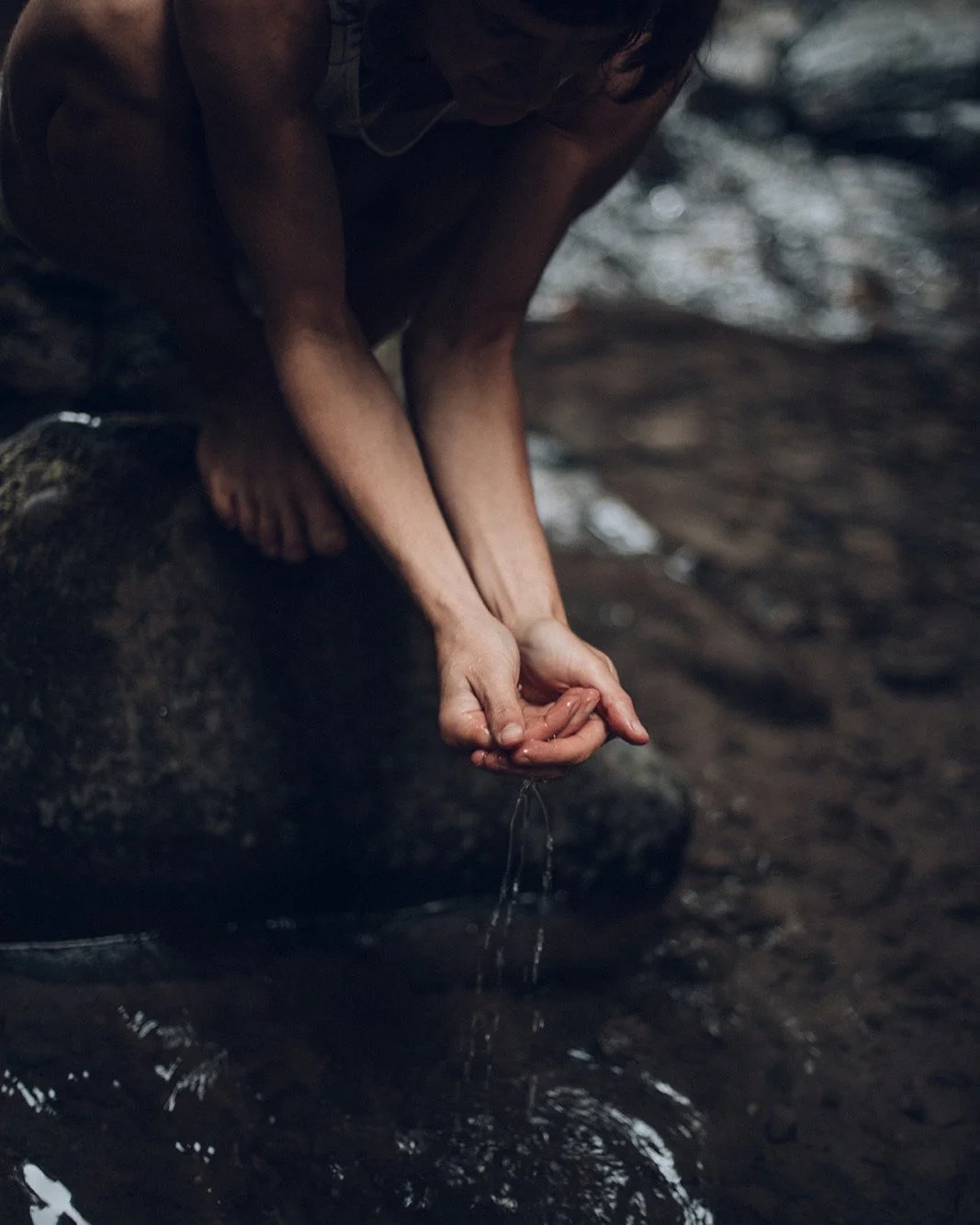LES CHEMINS DE L'APPARTENANCE 4/6. En pr&eacute;parant le webinaire sur les &eacute;co-&eacute;motions de la semaine derni&egrave;re je me suis replong&eacute;e dans les &eacute;crits de Glenn Albrecht sur la notion de solastalgie qu'il a invent&eacu