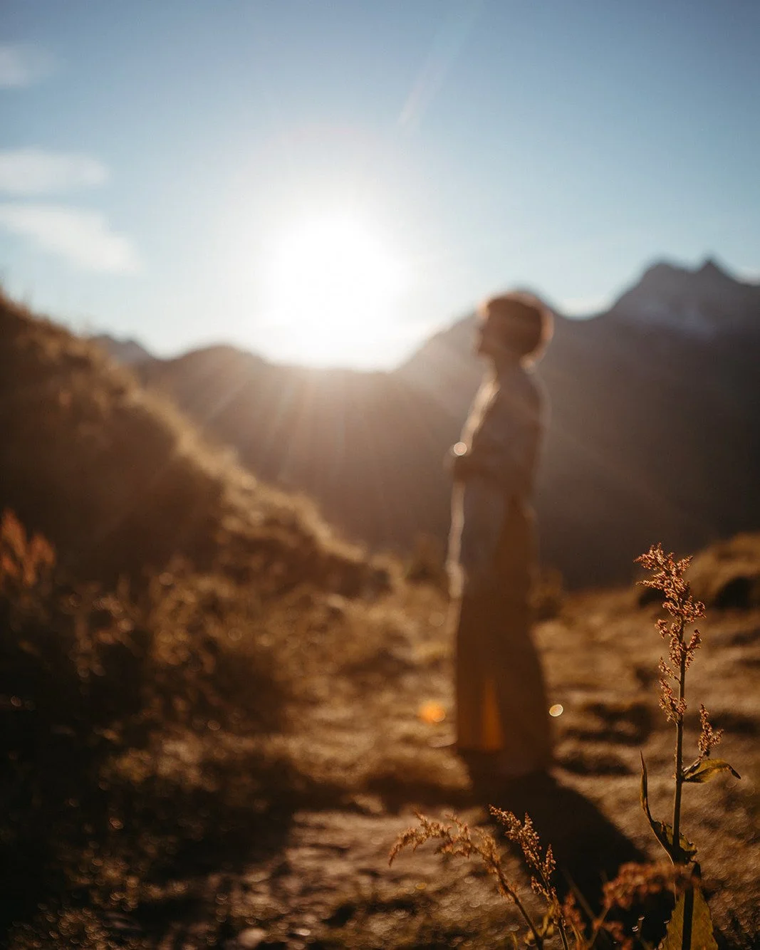 LES CHEMINS DE L'APPARTENANCE 6/7. L'&eacute;criture du manuel Ga&iuml;a mon Amour m'a permis de faire le point sur toutes les id&eacute;es et concepts qui sous-tendent la relation avec la Vie que je recherche. Et parmi eux ce que je nomme les relati