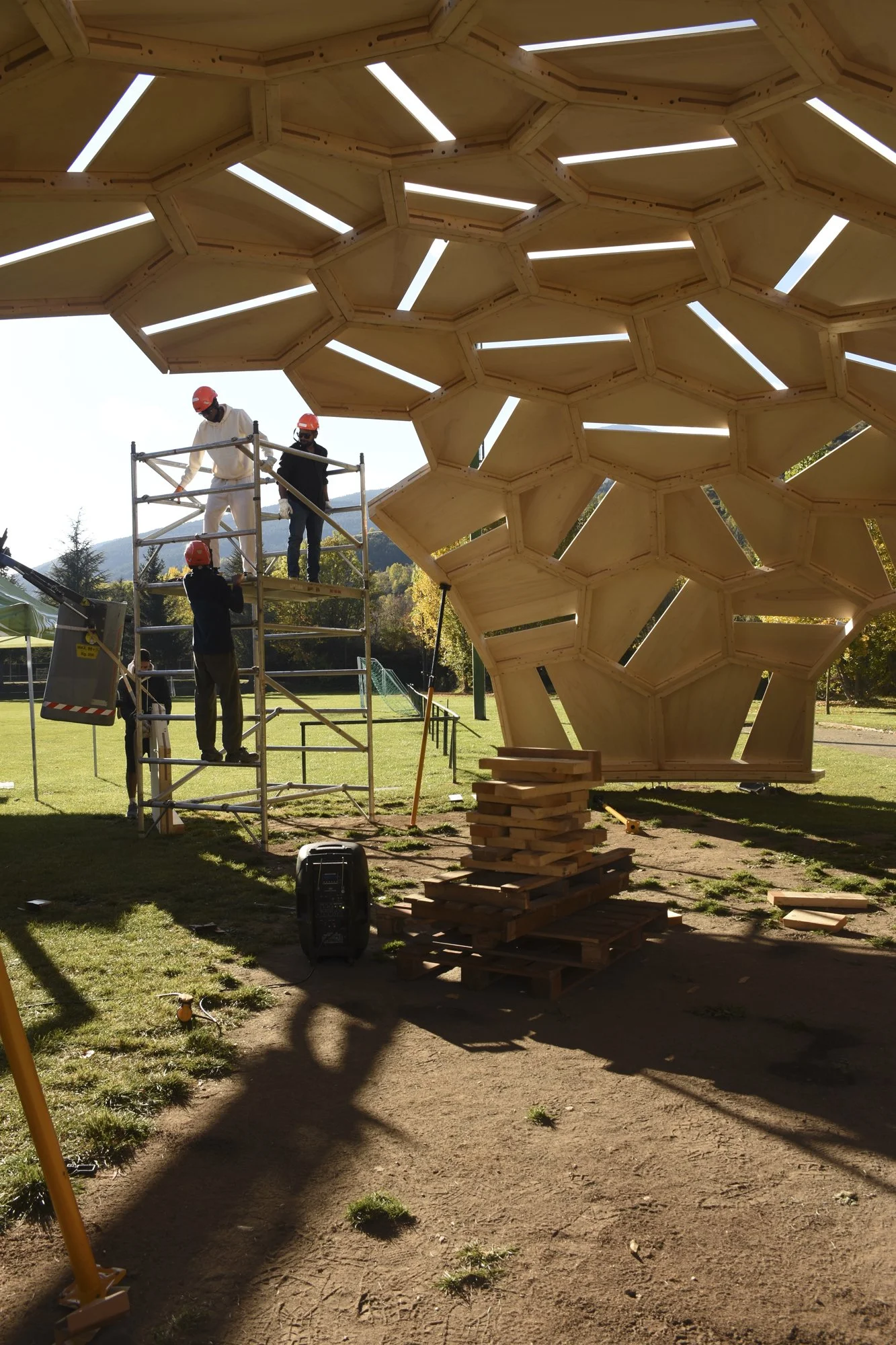 mpda25 alp dsc_0121.jpg