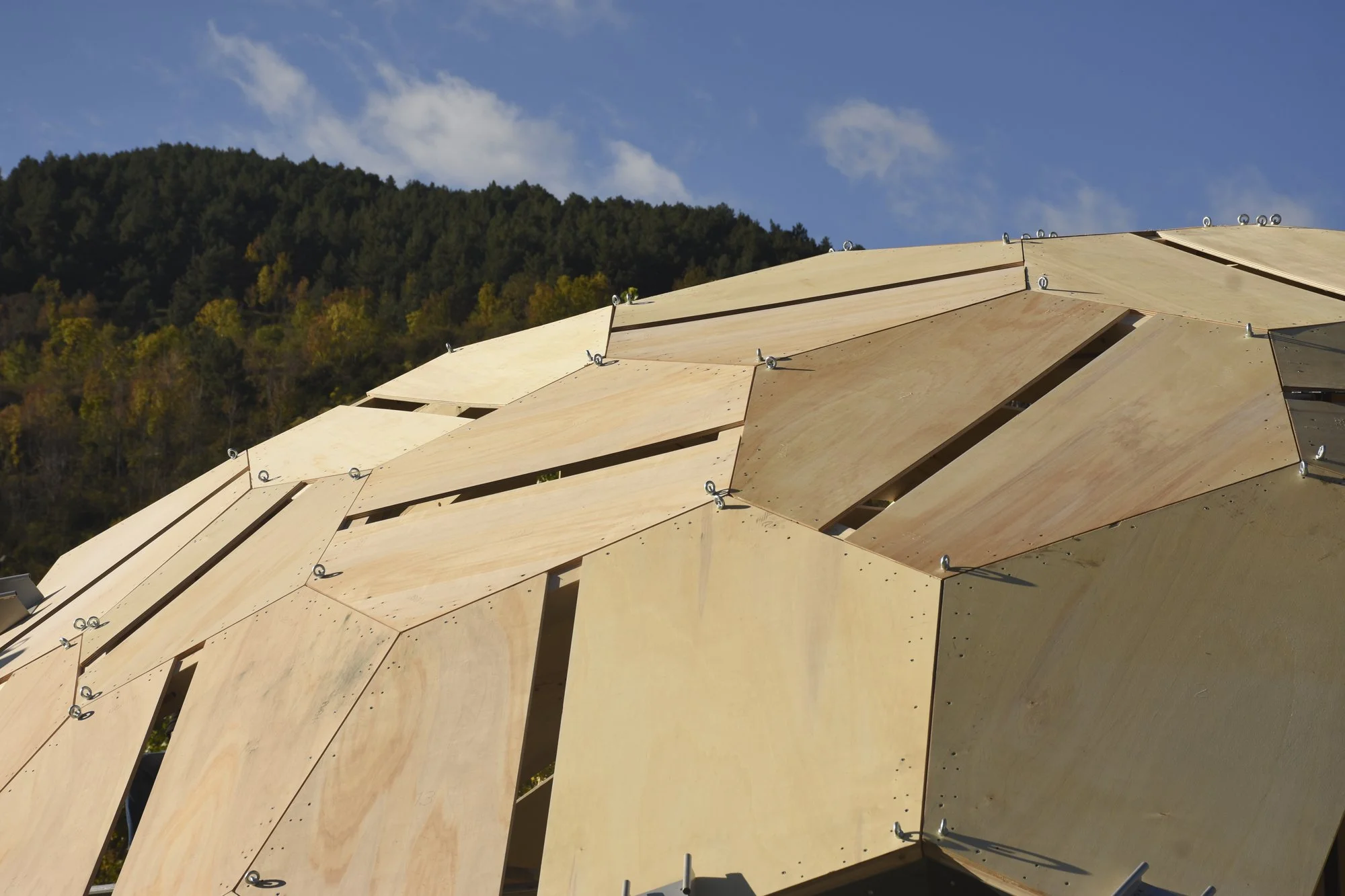 mpda25 alp dsc_0139.jpg