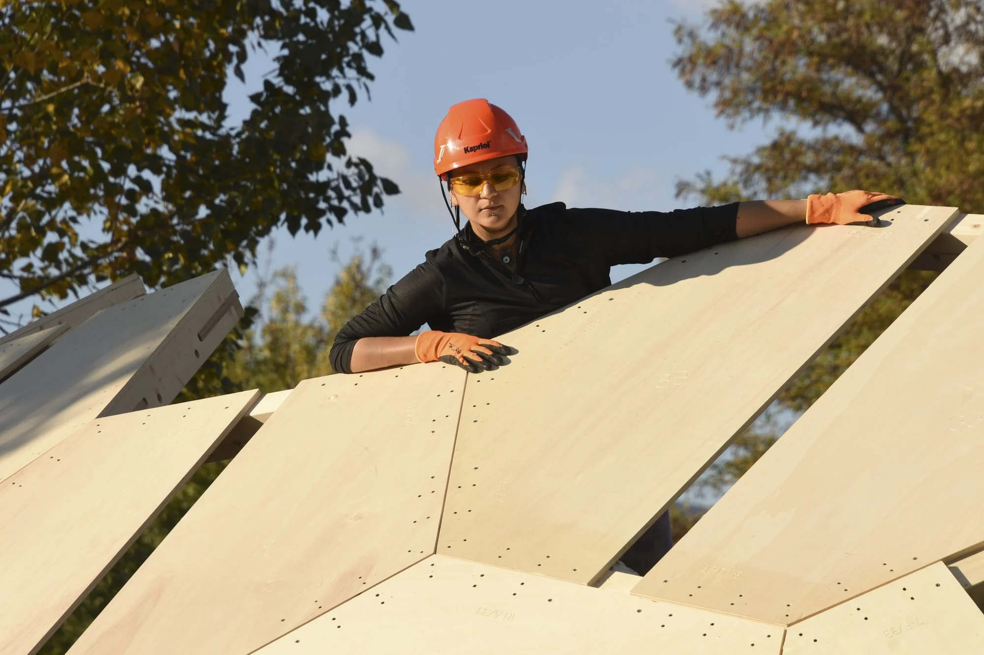 mpda25 alp dsc_9651.jpg