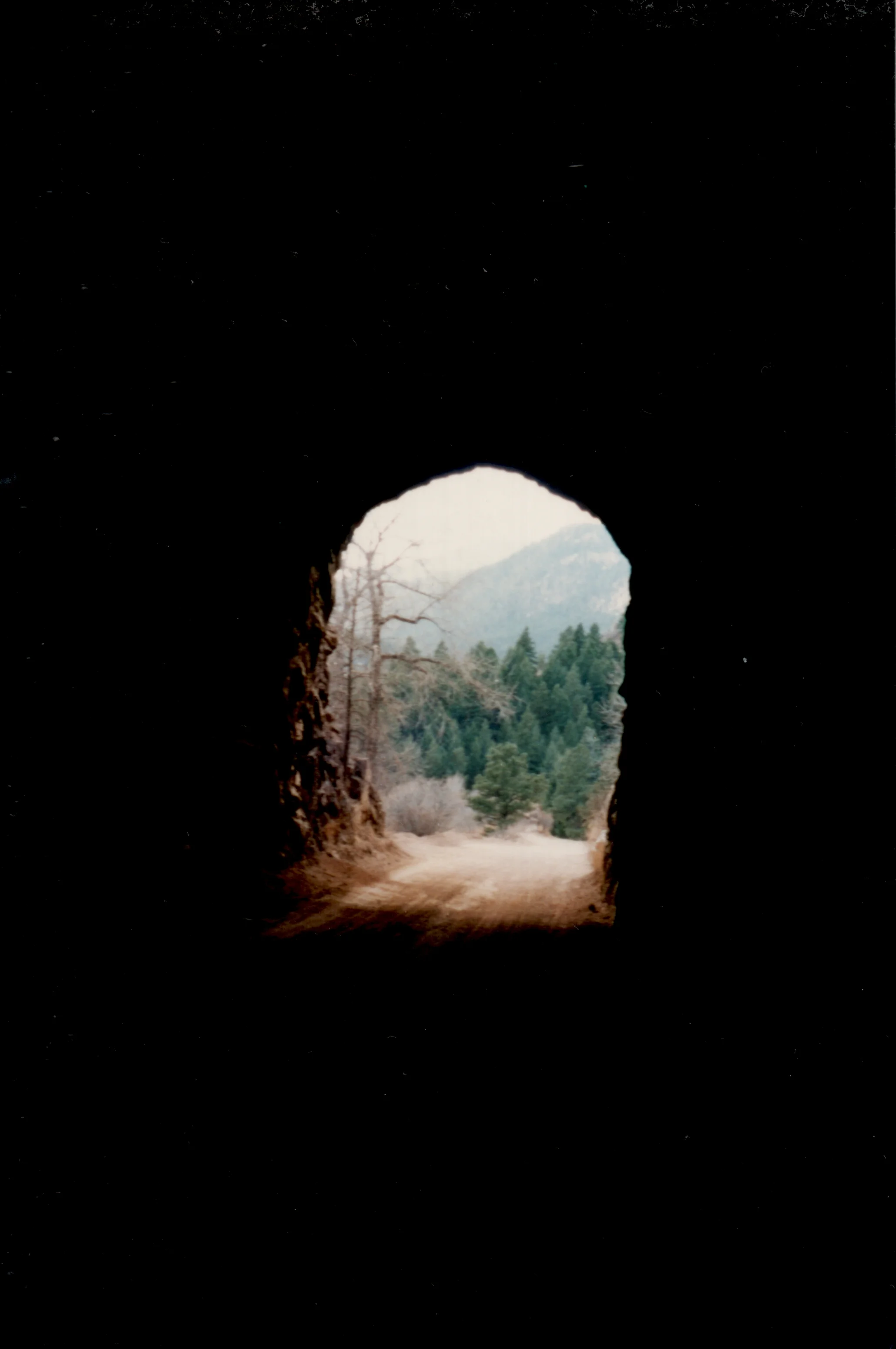 Photo by Litza Bixler