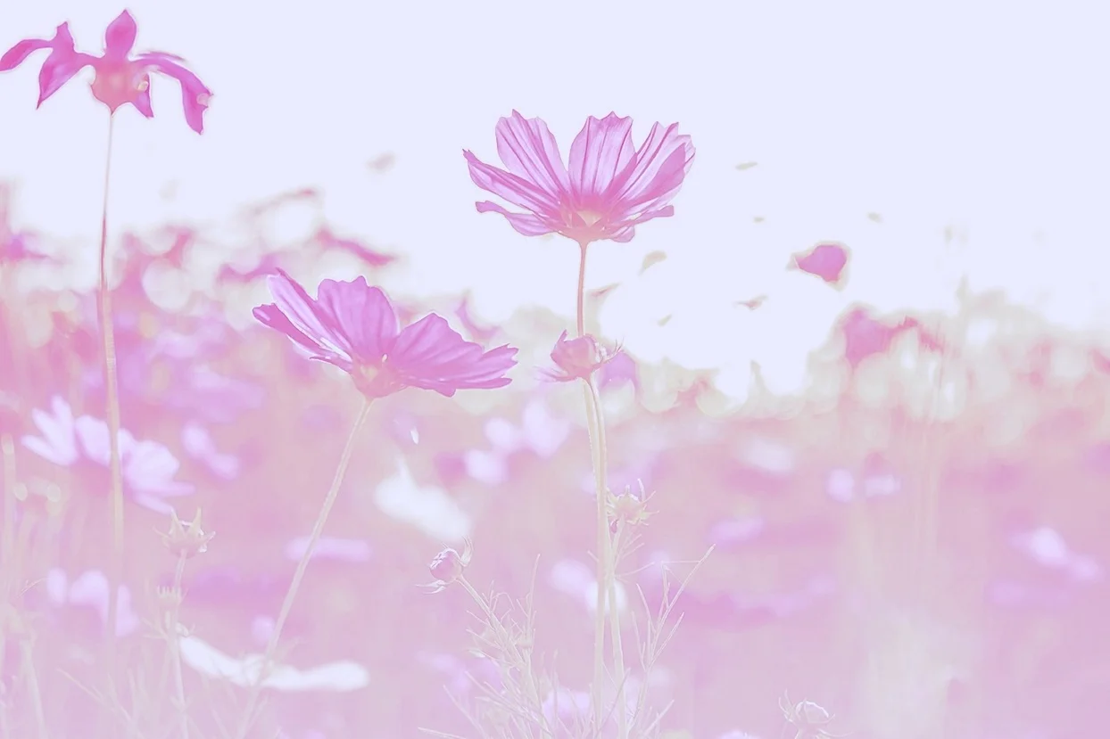 shutterstock_308249900.jpg