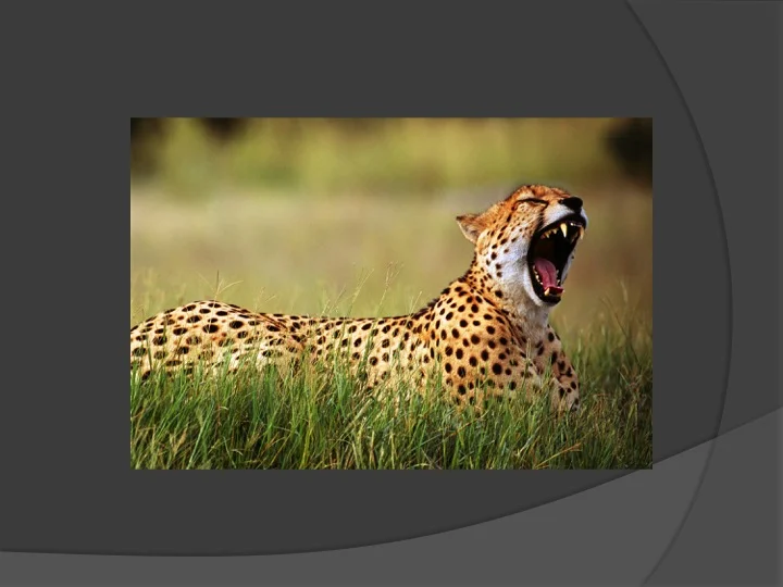Slide20.jpg
